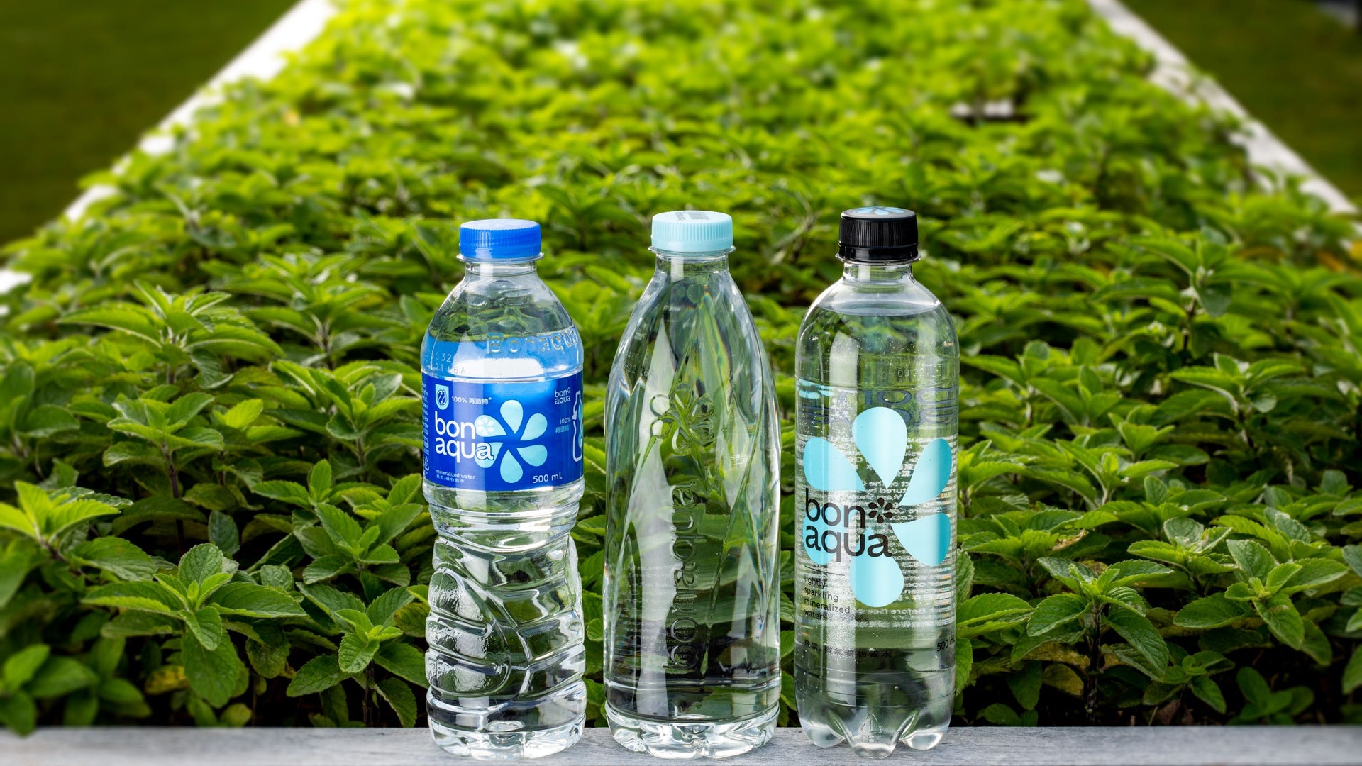 可口可樂旗下Bonaqua在港推無招紙樽裝水 可供獨立發售 可口可樂旗下Bonaqua在港推無招紙樽裝水 可供獨立發售