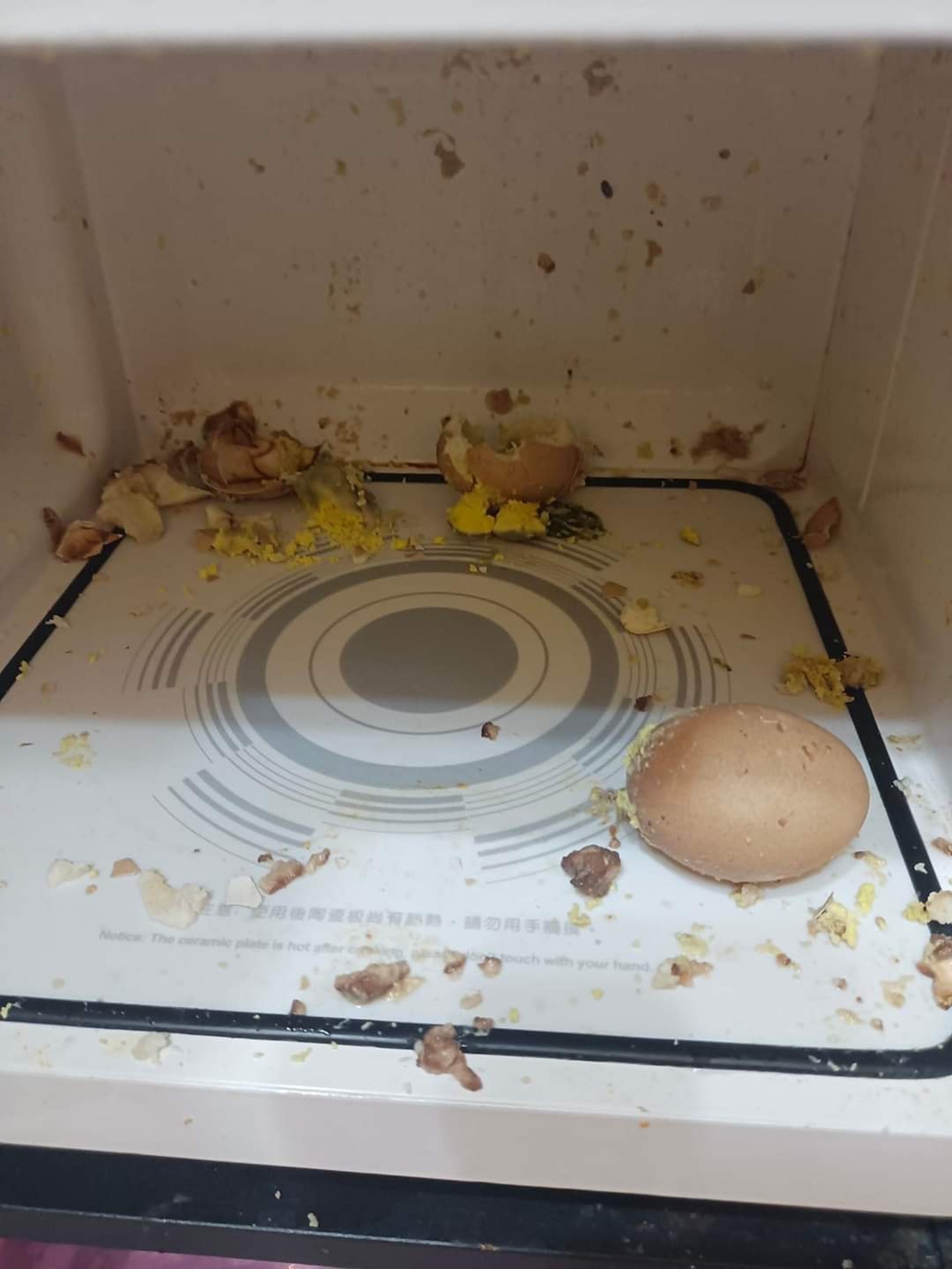 苦主分享的「叮蛋災難現場」(FB@爆廢公社) 苦主分享的「叮蛋災難現場」(FB@爆廢公社)