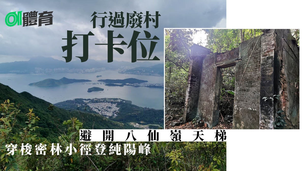 大埔行山|新娘潭上純陽峰避開石級路 經屏風山、平頂坳落丹竹坑 大埔行山|新娘潭上純陽峰避開石級路 經屏風山、平頂坳落丹竹坑