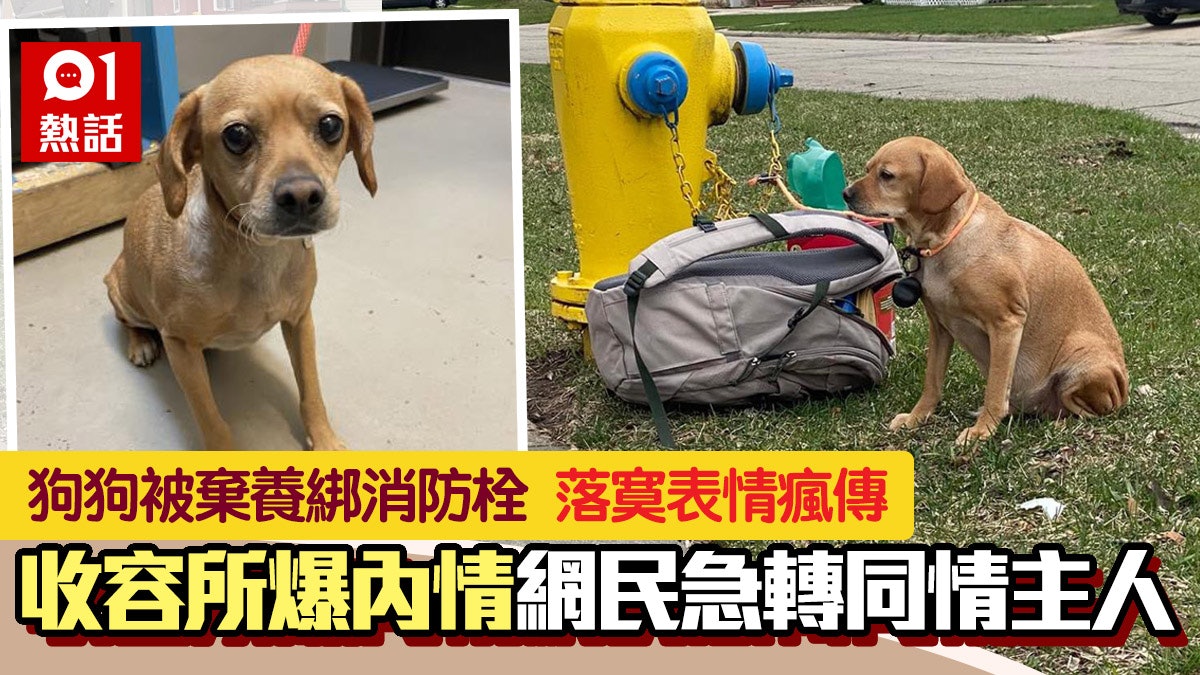 狗狗被綁消防栓棄養 主人留字條解釋 網民逆轉表同情:他已盡力 狗狗被綁消防栓棄養 主人留字條解釋 網民逆轉表同情:他已盡力