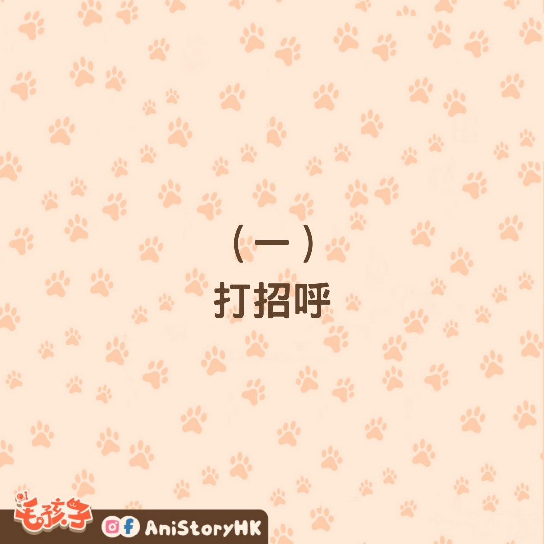 貓咪「用鼻子親親」的5種原因（01製圖）