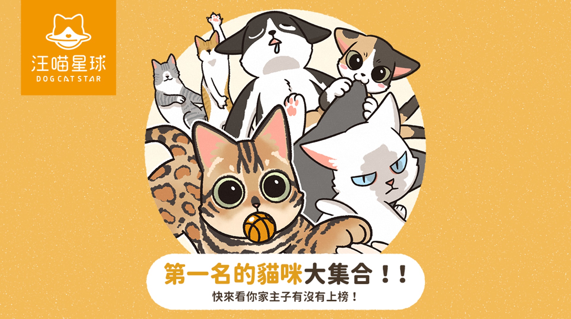 第一名的貓咪大集合(汪喵星球授權使用) 第一名的貓咪大集合(汪喵星球授權使用)