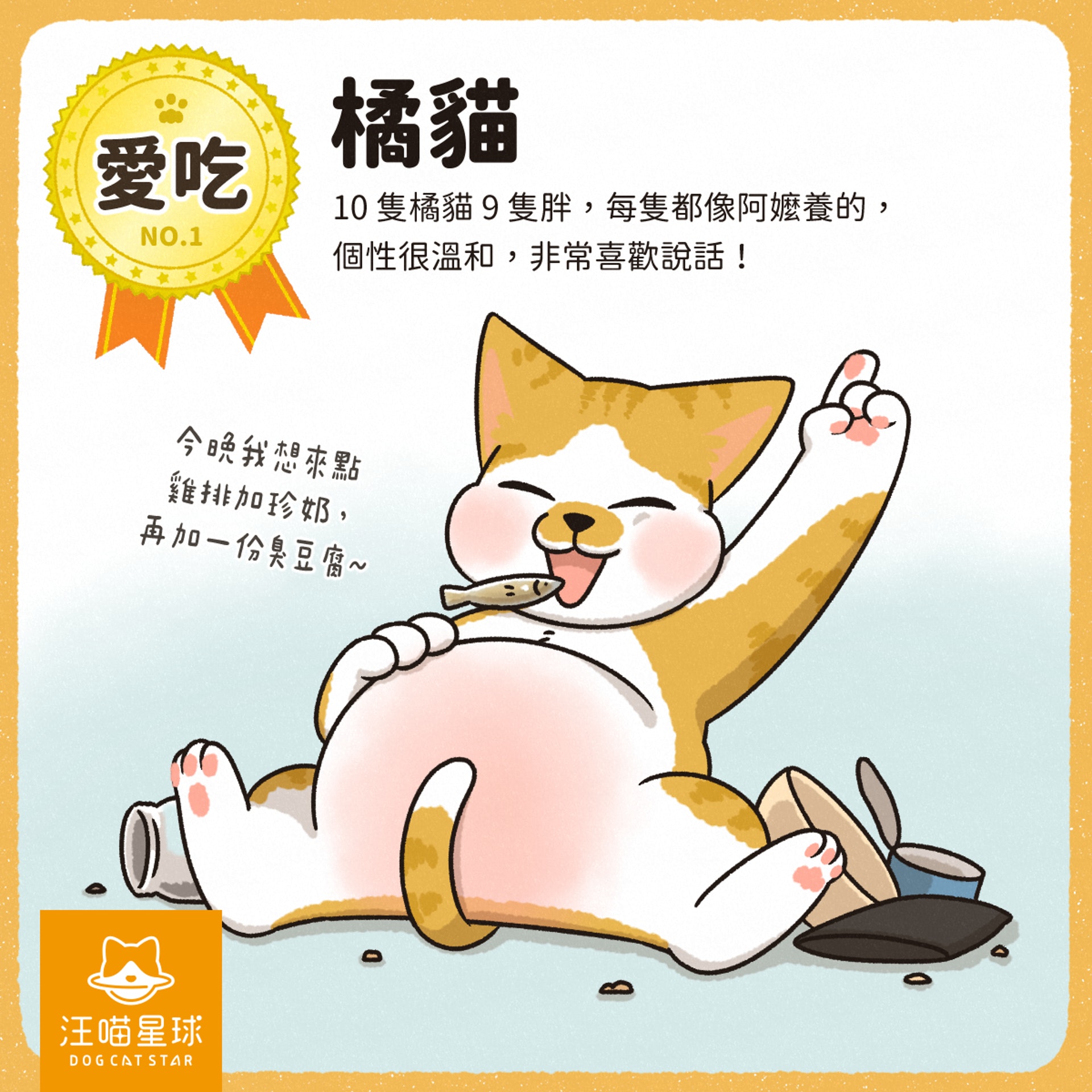 愛吃 NO.1 橘貓:10隻橘貓9隻胖,每隻都像阿嬤養的,個性很溫和,非常喜歡說話!(汪喵星球授權使用) 愛吃 NO.1 橘貓:10隻橘貓9隻胖,每隻都像阿嬤養的,個性很溫和,非常喜歡說話!(汪喵星球授權使用)
