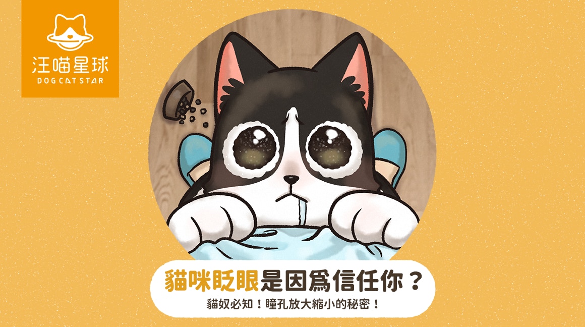 貓咪瞳孔的秘密（汪喵星球授權使用）