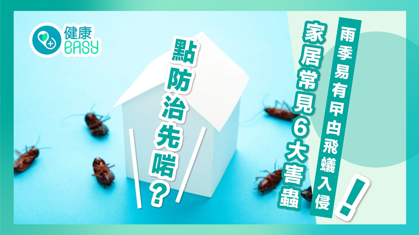 家居防蟲｜雨季易受曱甴飛蟻入侵 家居常見6大害蟲  點防治先啱？