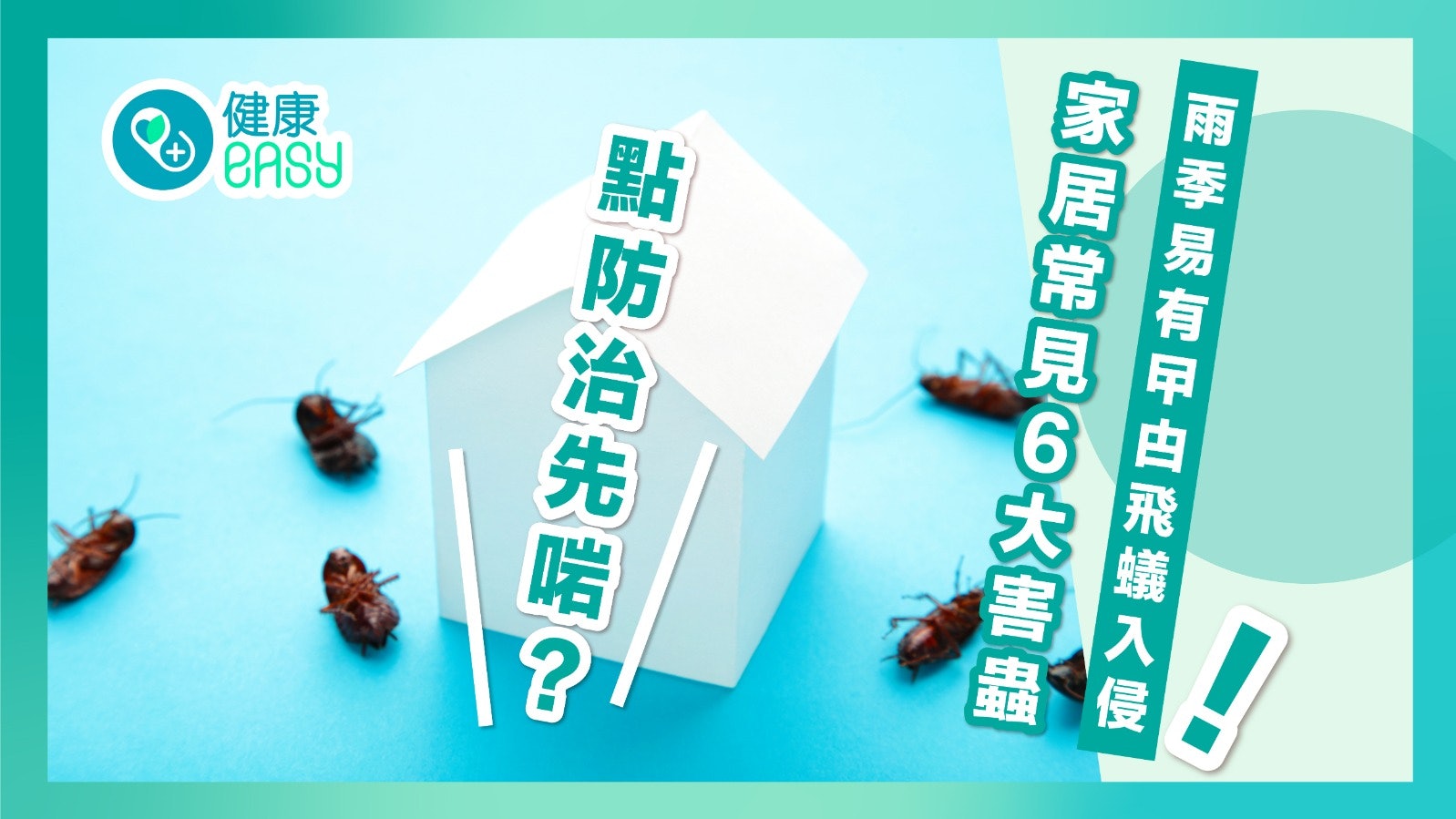 家居防蟲 雨季易受曱甴飛蟻入侵家居常見6大害蟲點防治先啱 家居防蟲 雨季易受曱甴飛蟻入侵家居常見6大害蟲點防治先啱