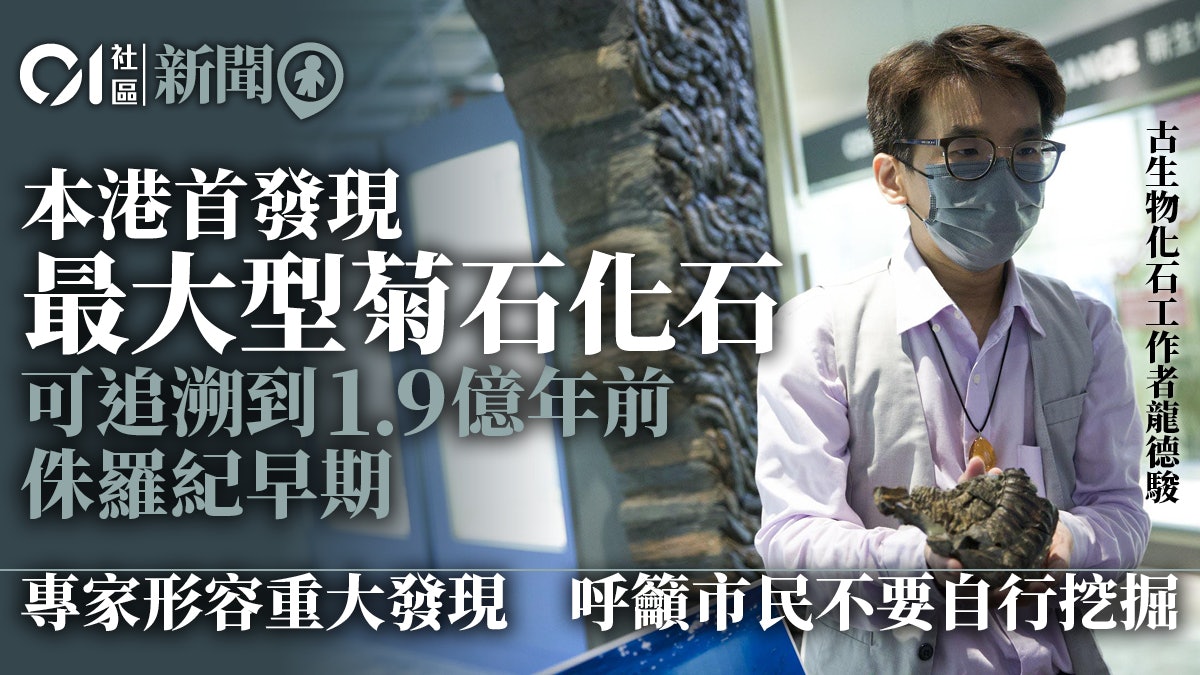 本港首次發現大型菊石化石及痕跡化石年代從泥盆紀到侏羅紀 本港首次發現大型菊石化石及痕跡化石年代從泥盆紀到侏羅紀