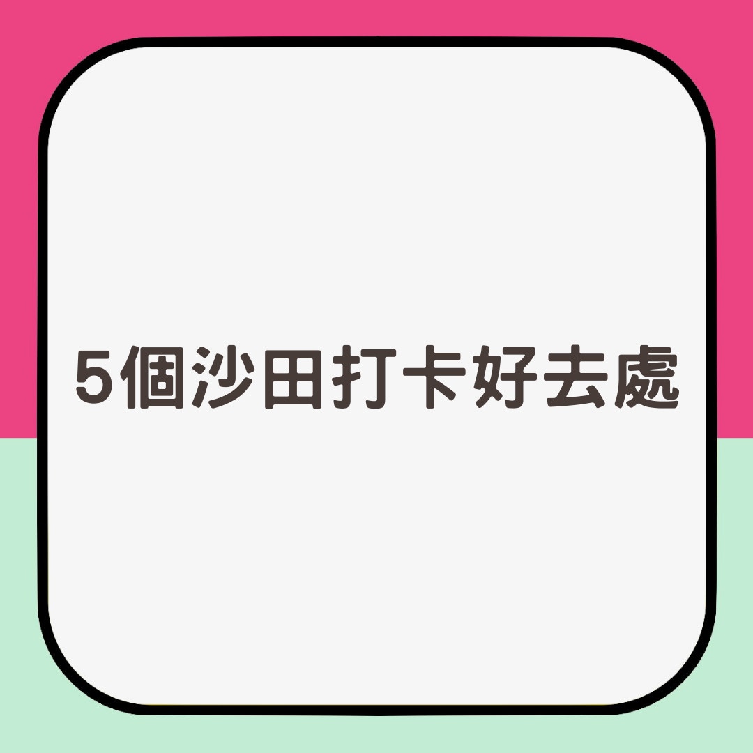 5個沙田打卡好去處（01製圖）