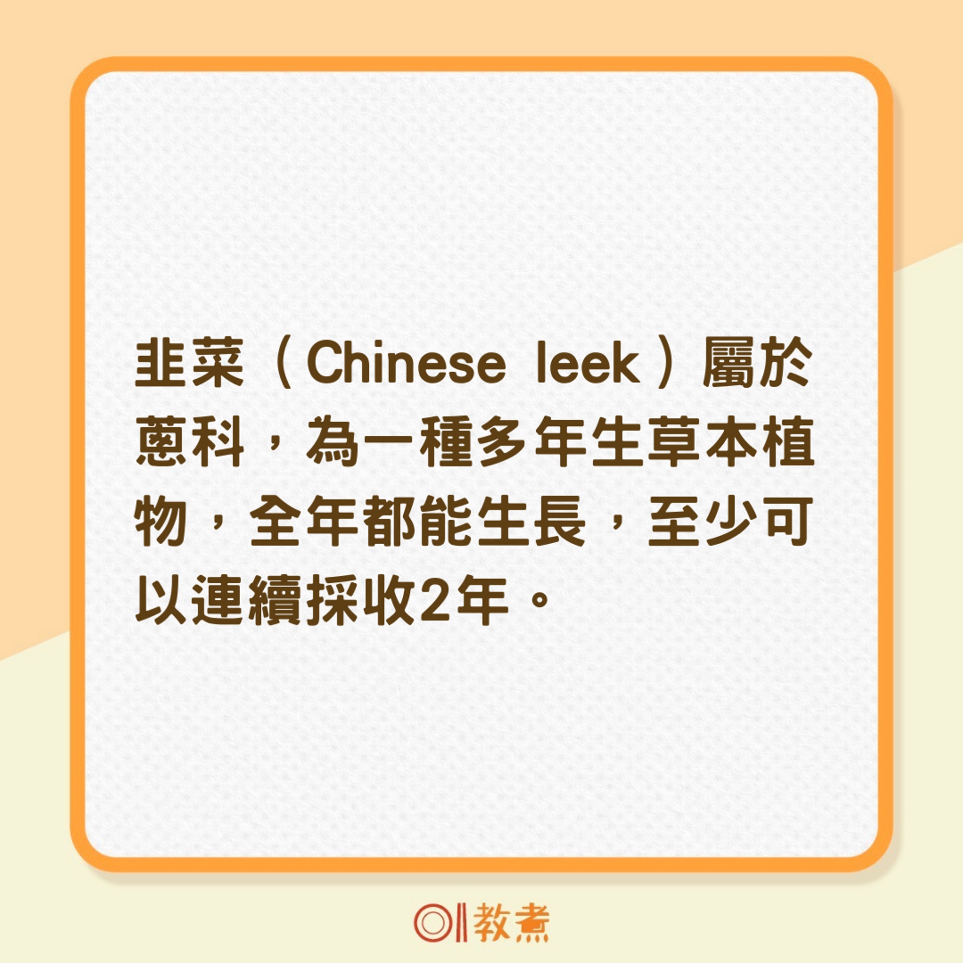 韭菜有哪些營養成分?(01製圖) 韭菜有哪些營養成分?(01製圖)