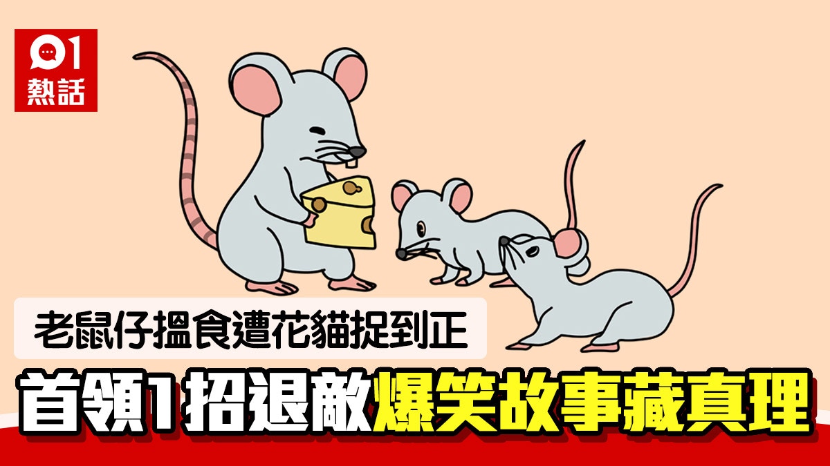老鼠搵食被貓捉到正　老鼠王搞笑奇招數小鼠　爆笑背後超警世