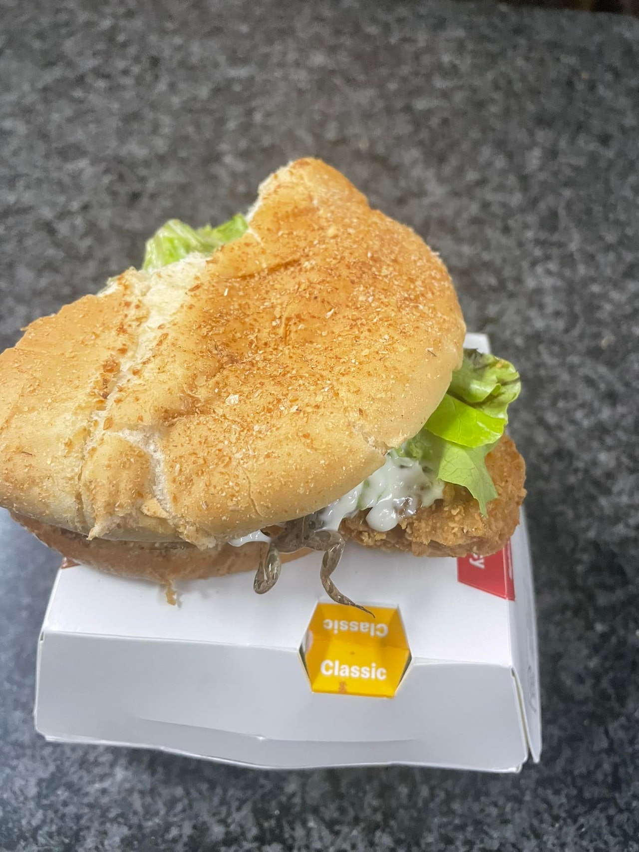 威廉在個人facebook公開了1張照片,指5月6日晚上在南非1間麥當勞購買麥香雞包給女兒吃,包裏竟有1隻青蛙!(Willem Bezuidenhout facebook圖片) 威廉在個人facebook公開了1張照片,指5月6日晚上在南非1間麥當勞購買麥香雞包給女兒吃,包裏竟有1隻青蛙!(Willem Bezuidenhout facebook圖片)