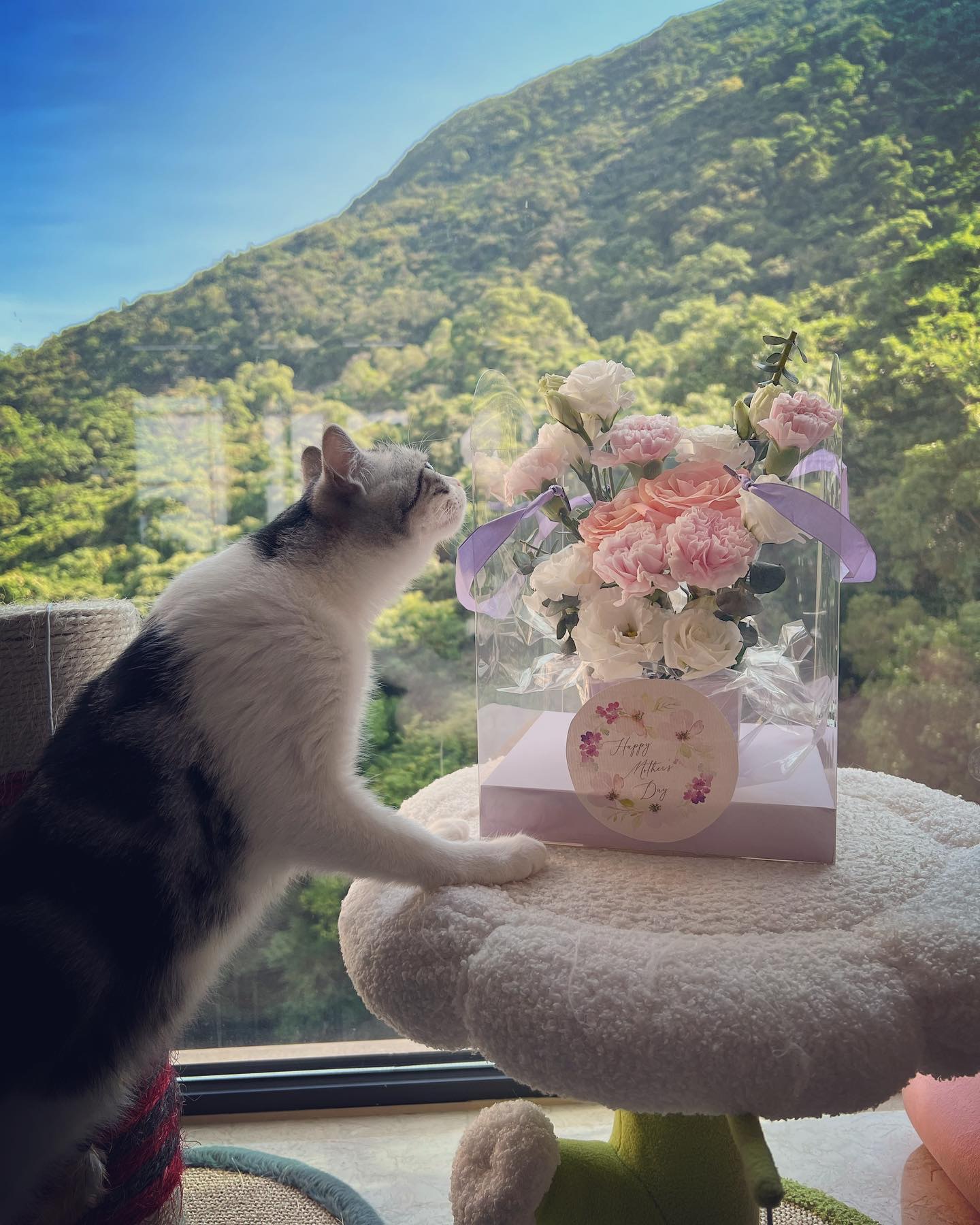 豪宅一角！（IG/@isabella.leong）