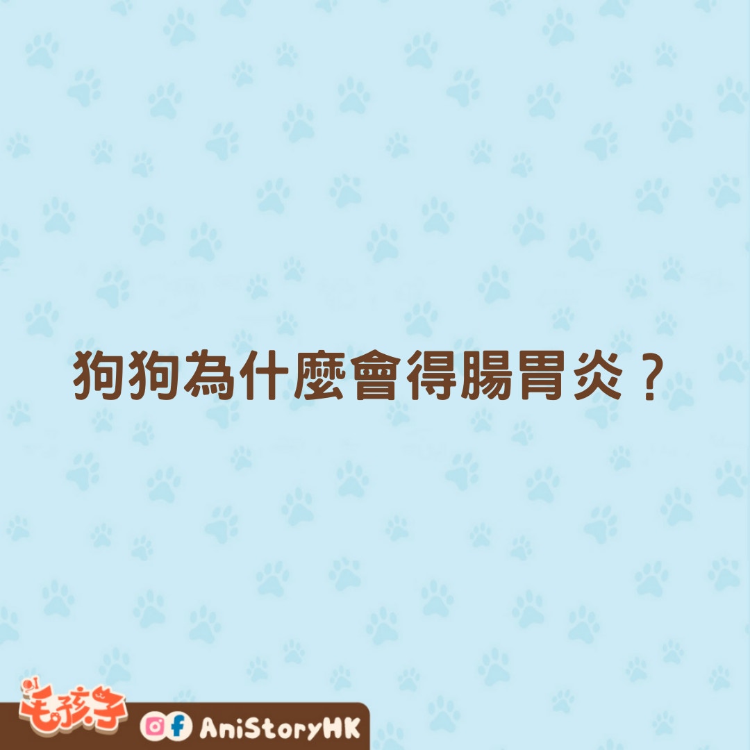 狗狗腸胃炎會自己好嗎？快速了解狗狗腸胃炎的症狀、治療及照顧指南！ - 預約怪獸