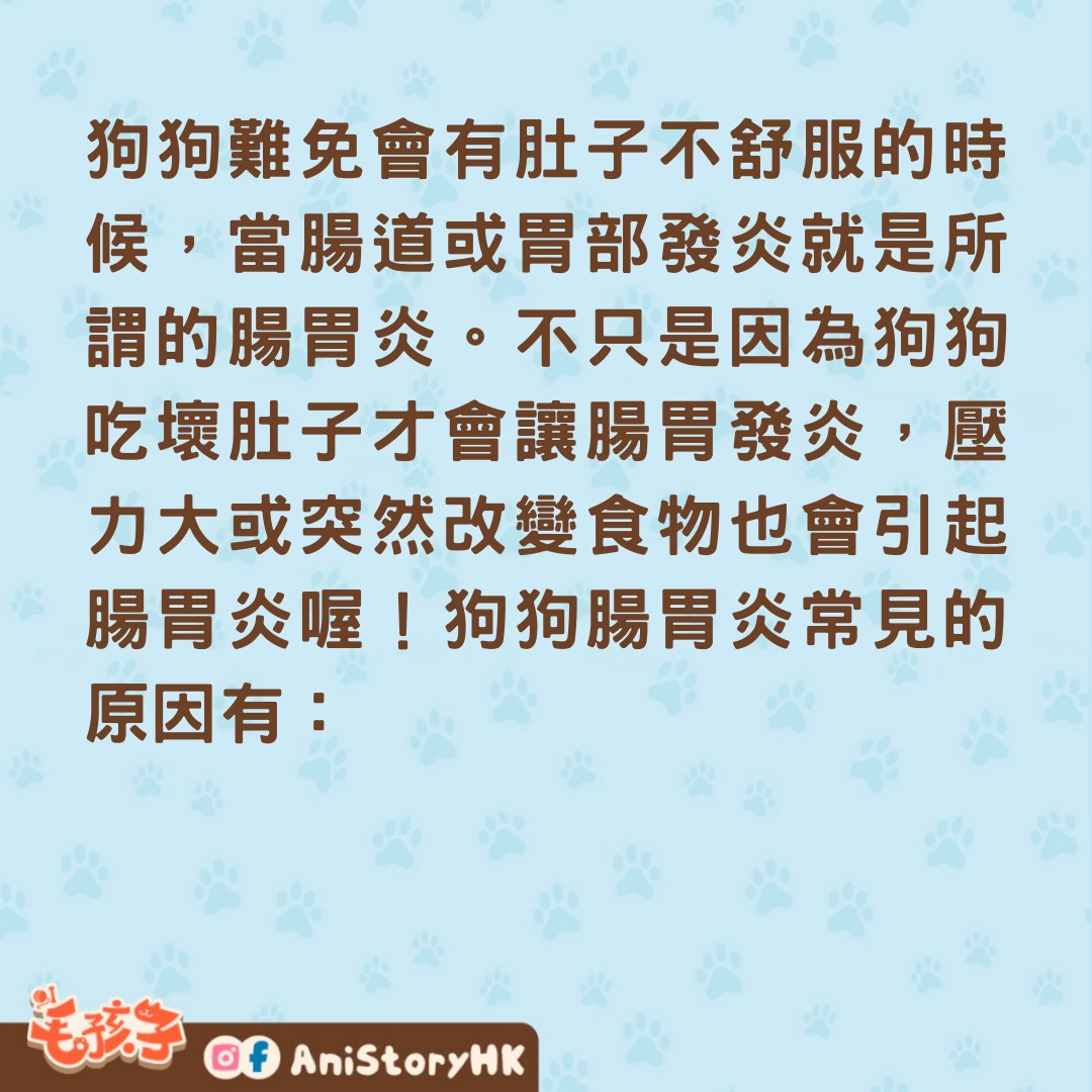 【寵物保健】狗狗拉肚子怎麼辦？ 您的毛孩需要寵物益生菌 | 星巴哈尼│毛孩爸媽最放心的寵物保健品牌