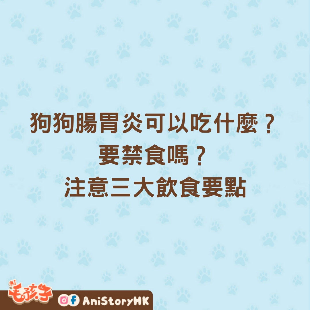 狗狗腸胃炎原因、症狀、治療及飲食要點全指南 吃飯是康復關鍵？ - 寵物交流區 - 公仔箱論壇 - Powered by Discuz!