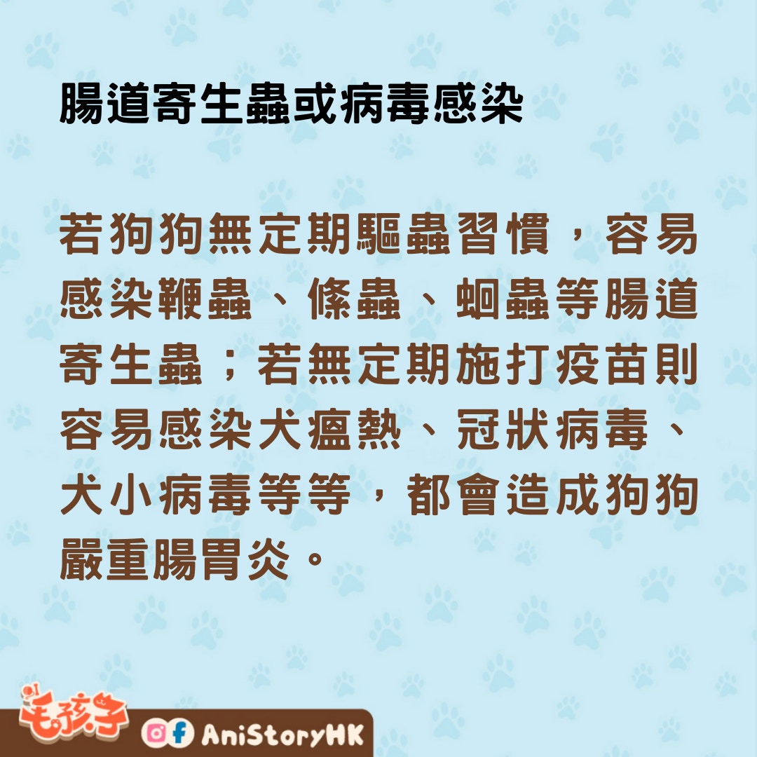 狗狗腸胃炎原因、症狀、治療及飲食要點全指南 吃飯是康復關鍵？ - 寵物交流區 - 公仔箱論壇 - Powered by Discuz!