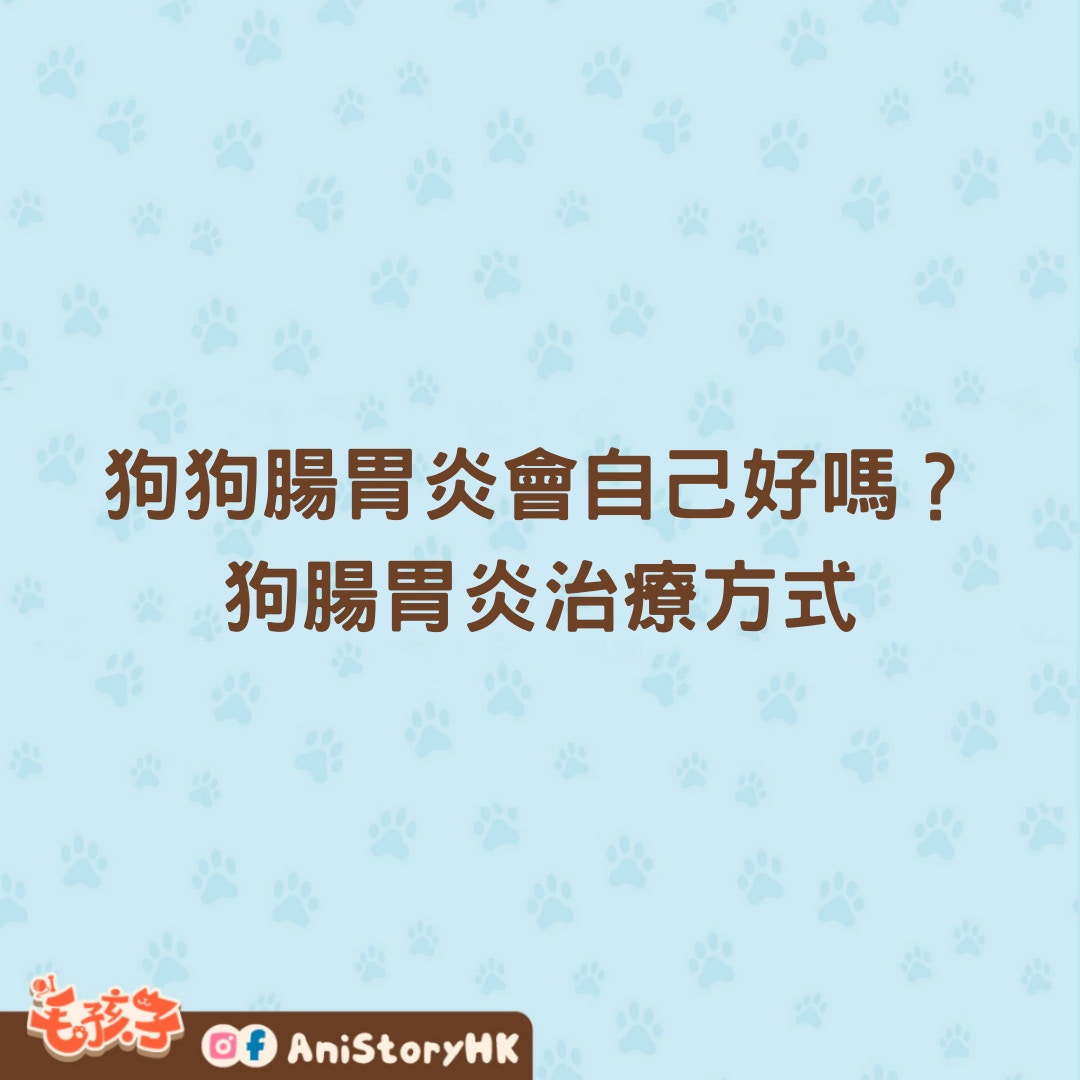 狗狗腸胃炎原因、症狀、治療及飲食要點全指南 吃飯是康復關鍵？ - 寵物交流區 - 公仔箱論壇 - Powered by Discuz!