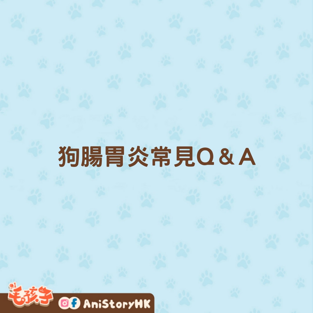 狗狗腸胃炎原因、症狀、治療及飲食要點全指南 吃飯是康復關鍵？ - 寵物交流區 - 公仔箱論壇 - Powered by Discuz!