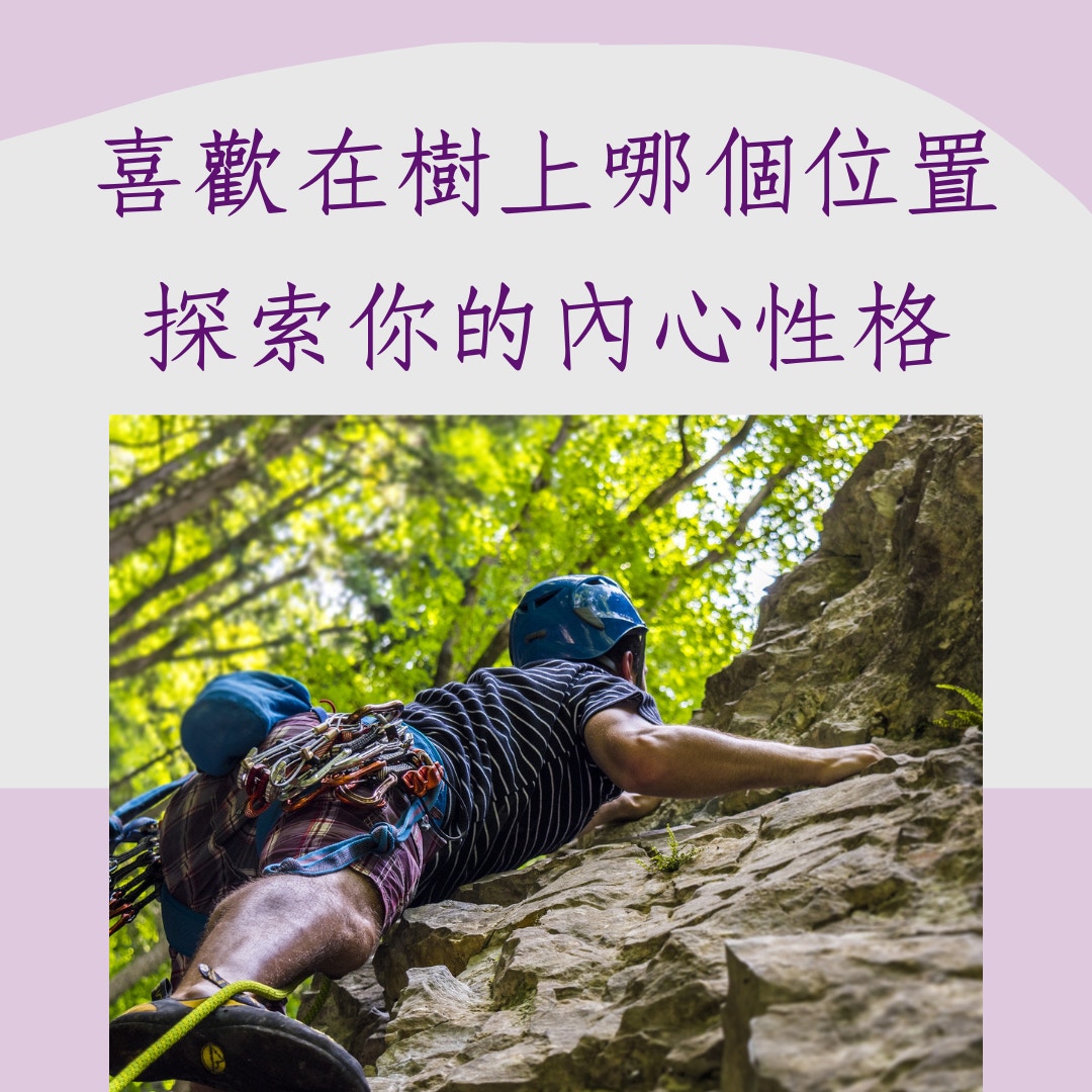 喜歡在樹上哪個位置探索你的內心性格（01製圖）