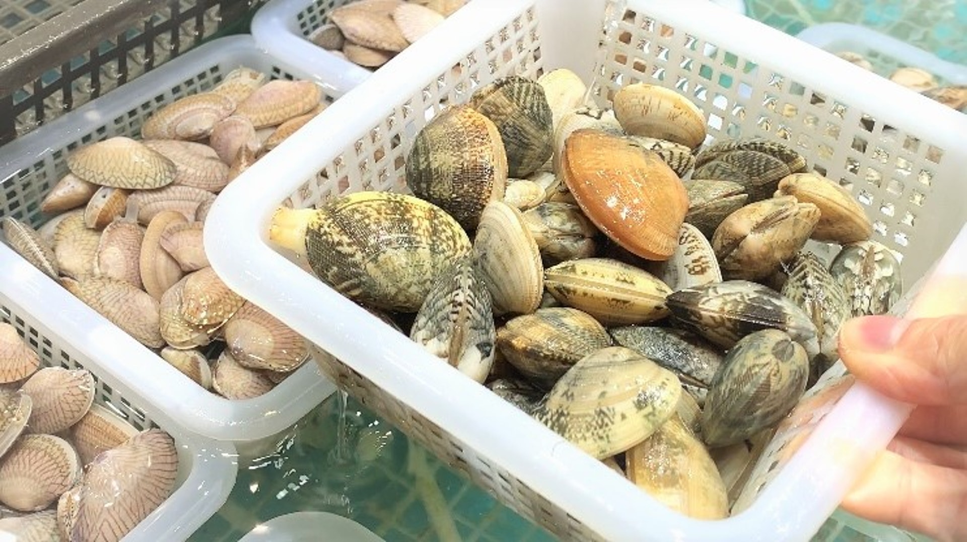 想延長保存期的話,買回家後建議不要急於泡水吐沙,利用1膠袋真空保存法延長新鮮度。(尹嘉蔚攝) 想延長保存期的話,買回家後建議不要急於泡水吐沙,利用1膠袋真空保存法延長新鮮度。(尹嘉蔚攝)