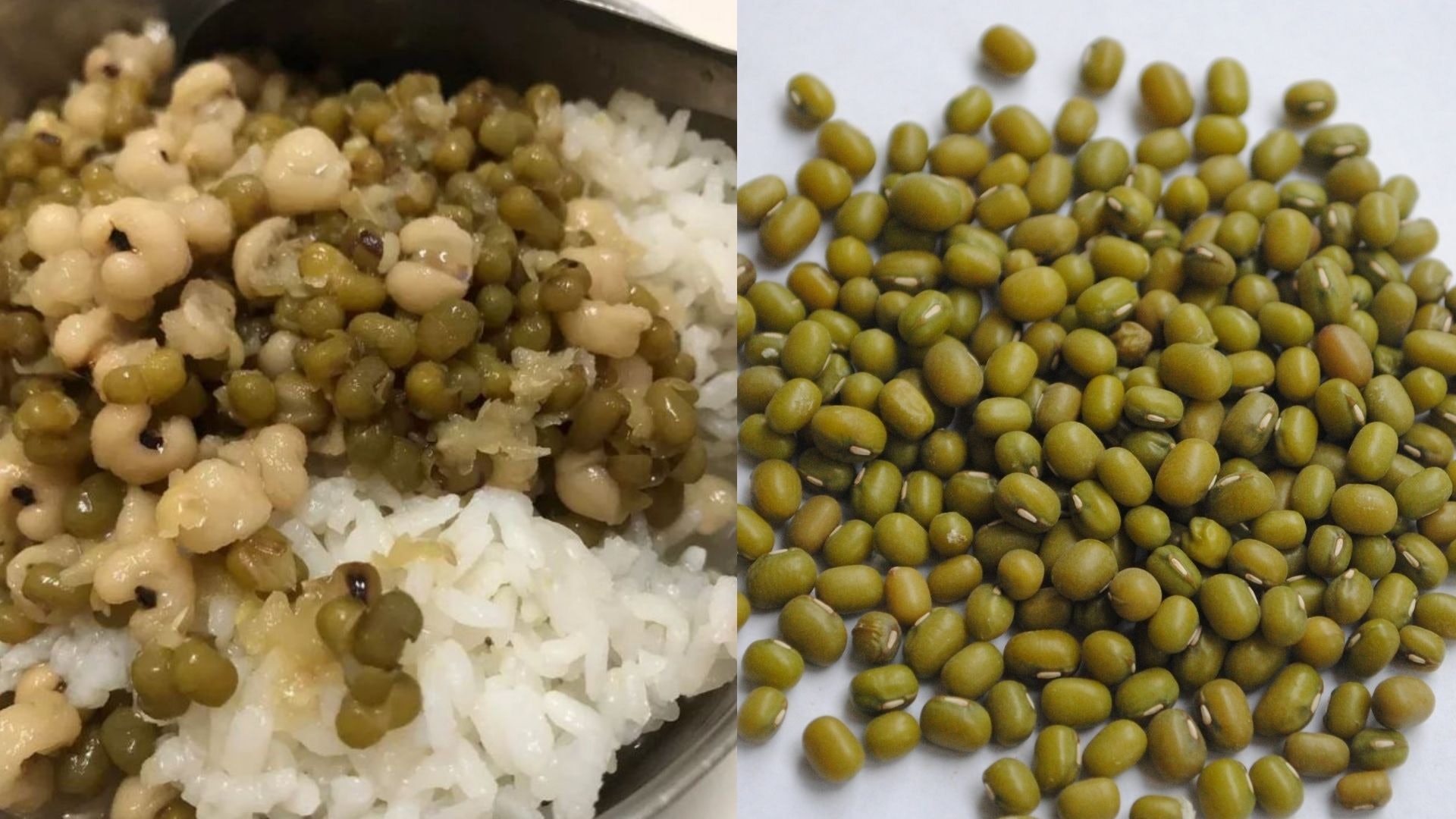 網絡熱話|綠豆沙撈飯惹熱議:正餐甜品一次解決!原來地道食法? 網絡熱話|綠豆沙撈飯惹熱議:正餐甜品一次解決!原來地道食法?