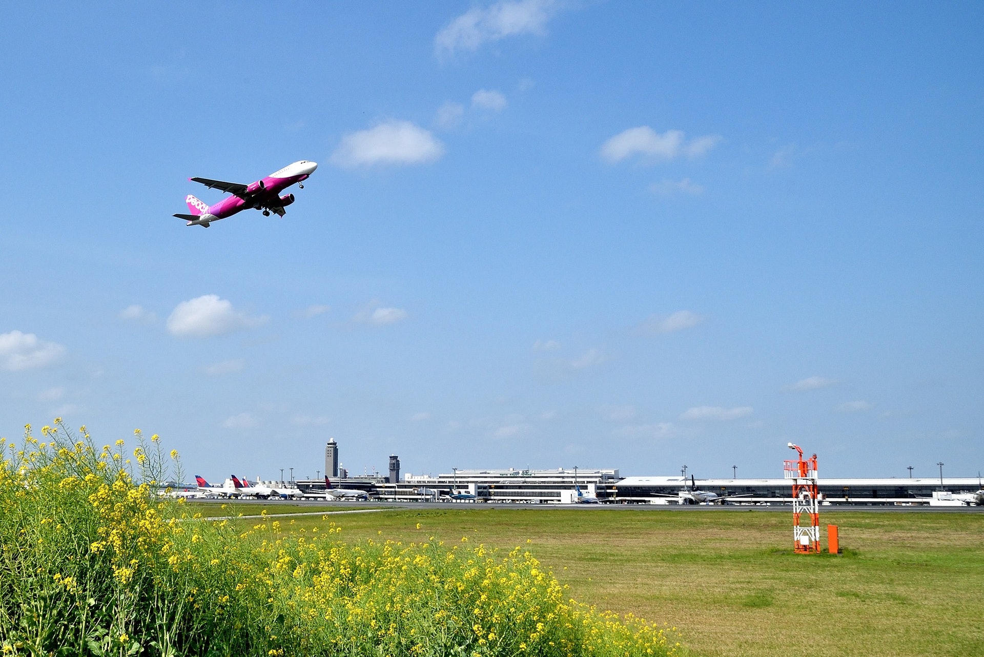 日本成田機場(成田機場Facebook專頁) 日本成田機場(成田機場Facebook專頁)