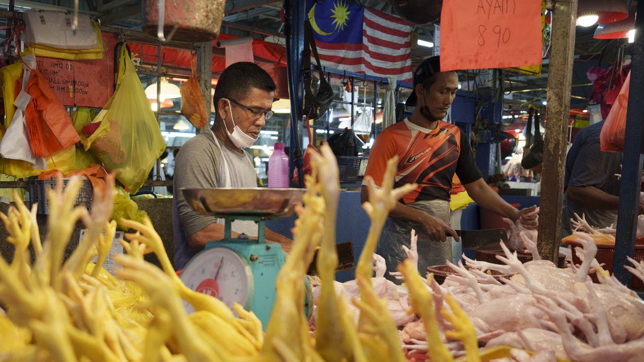 馬來西亞暫停出口活雞新加坡海南雞飯將漲價或短缺 – 香港01