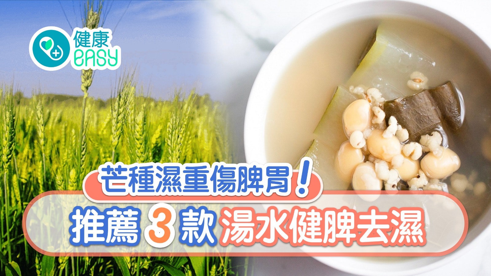 芒種廿四氣節|濕重傷脾胃易倦宜吃梨 冬瓜陳皮3款湯水健脾去濕 芒種廿四氣節|濕重傷脾胃易倦宜吃梨 冬瓜陳皮3款湯水健脾去濕