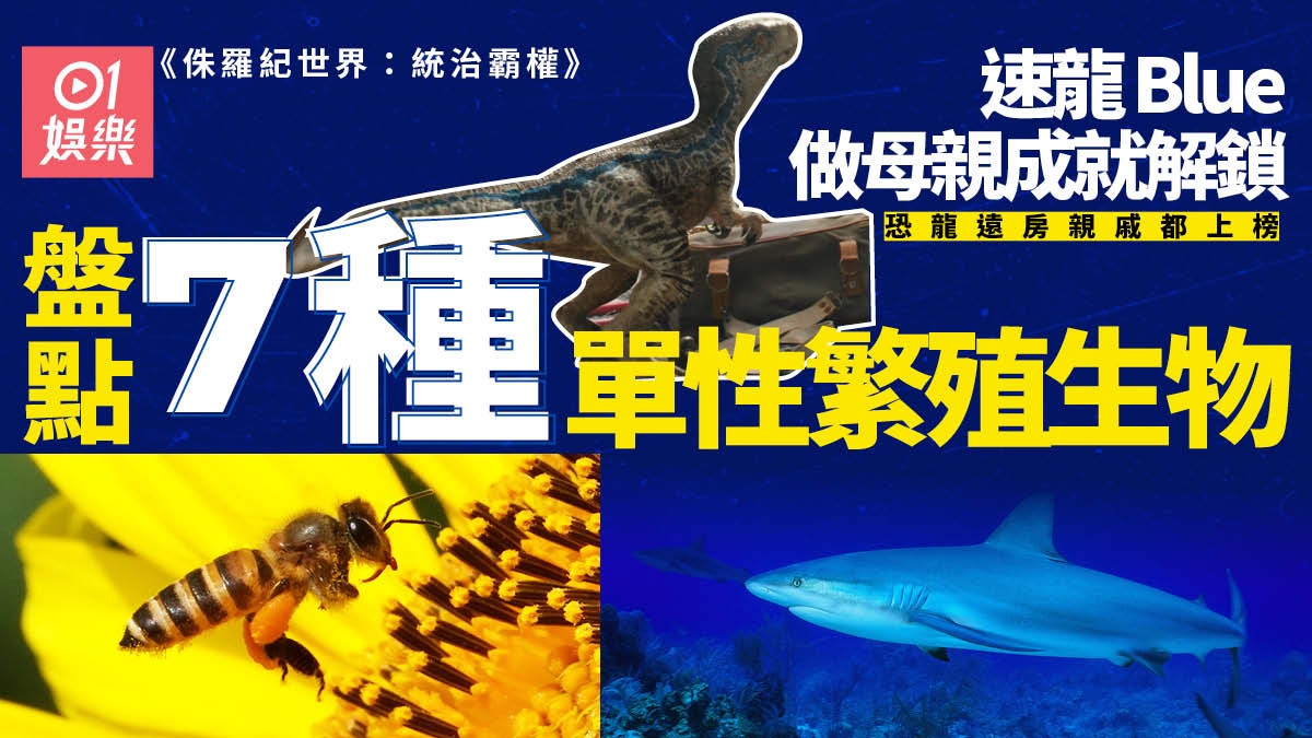 侏羅紀世界|速龍Blue喜獲「龍」兒 盤點七種能夠單性繁殖生物 侏羅紀世界|速龍Blue喜獲「龍」兒 盤點七種能夠單性繁殖生物