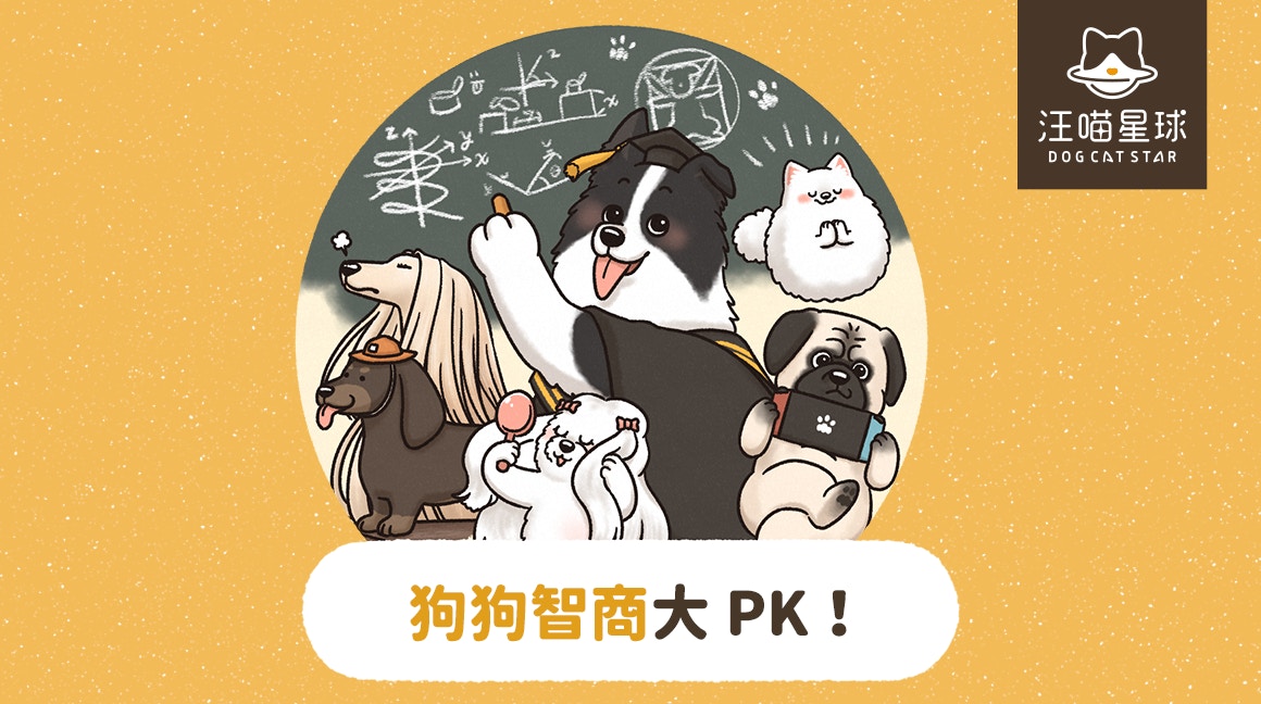 狗界智商排行榜（汪喵星球授權使用）