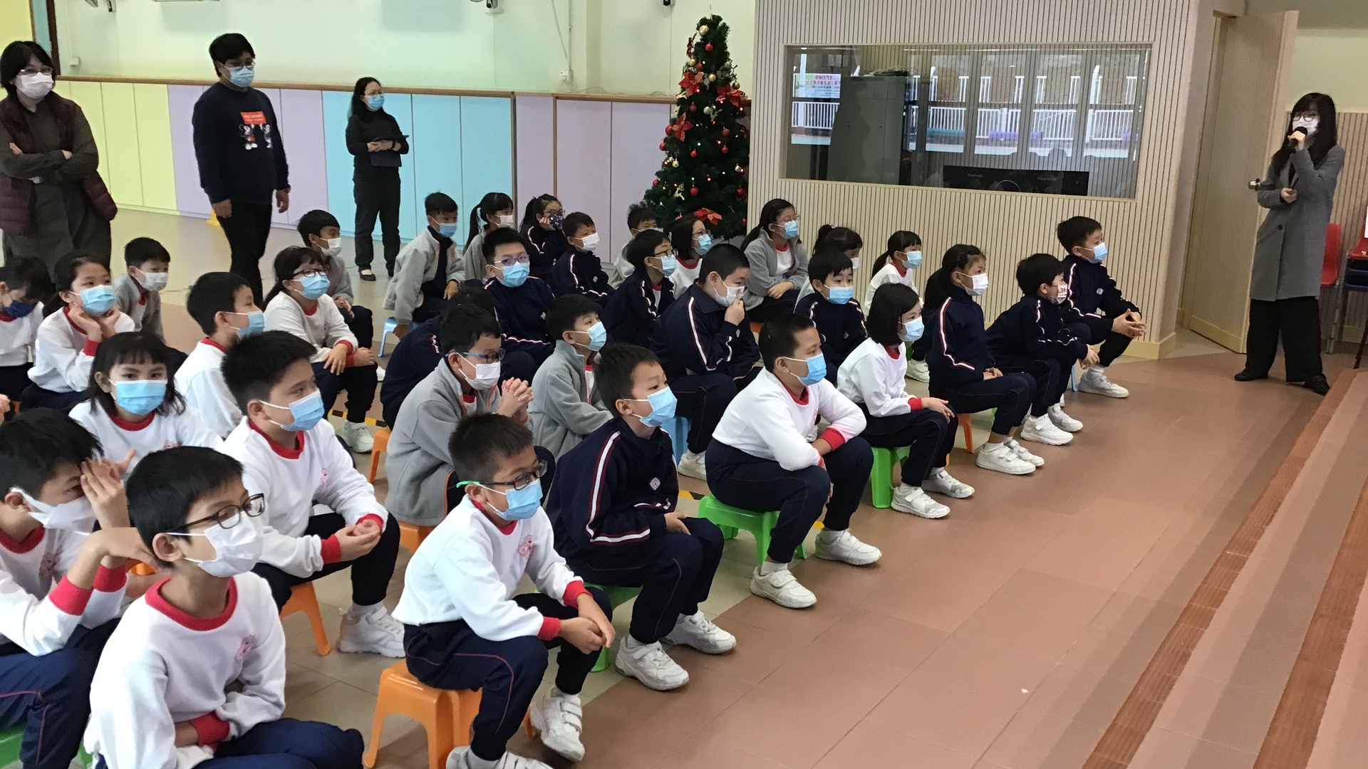 校園天地|華富邨寶血小學 校本言語治療服務 校園天地|華富邨寶血小學 校本言語治療服務