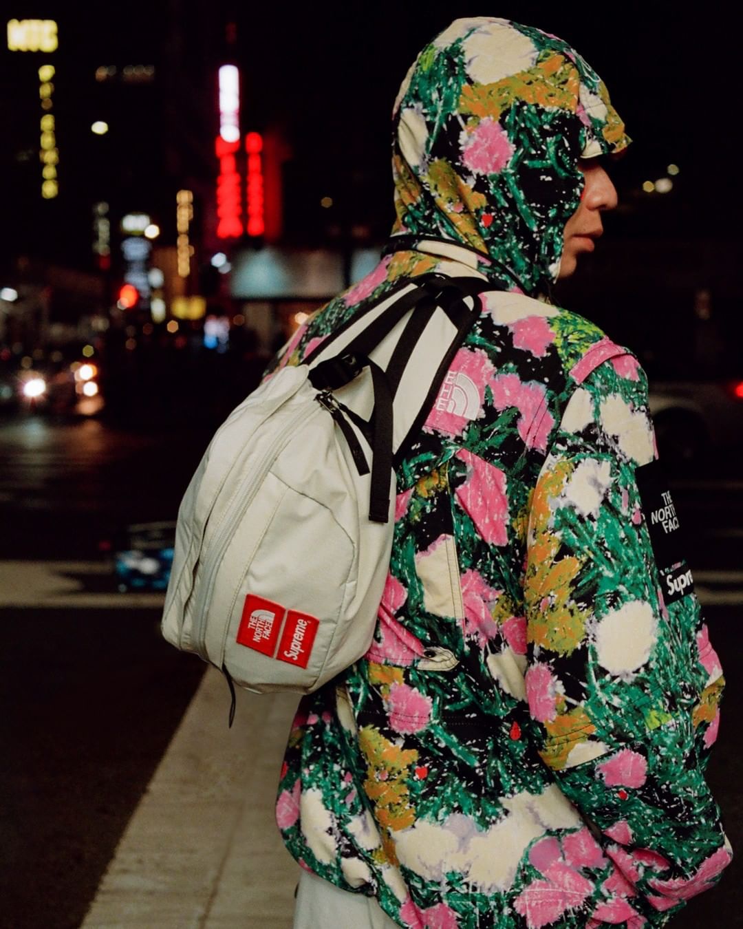 サイズMSupreme / The North Face Convertible JK