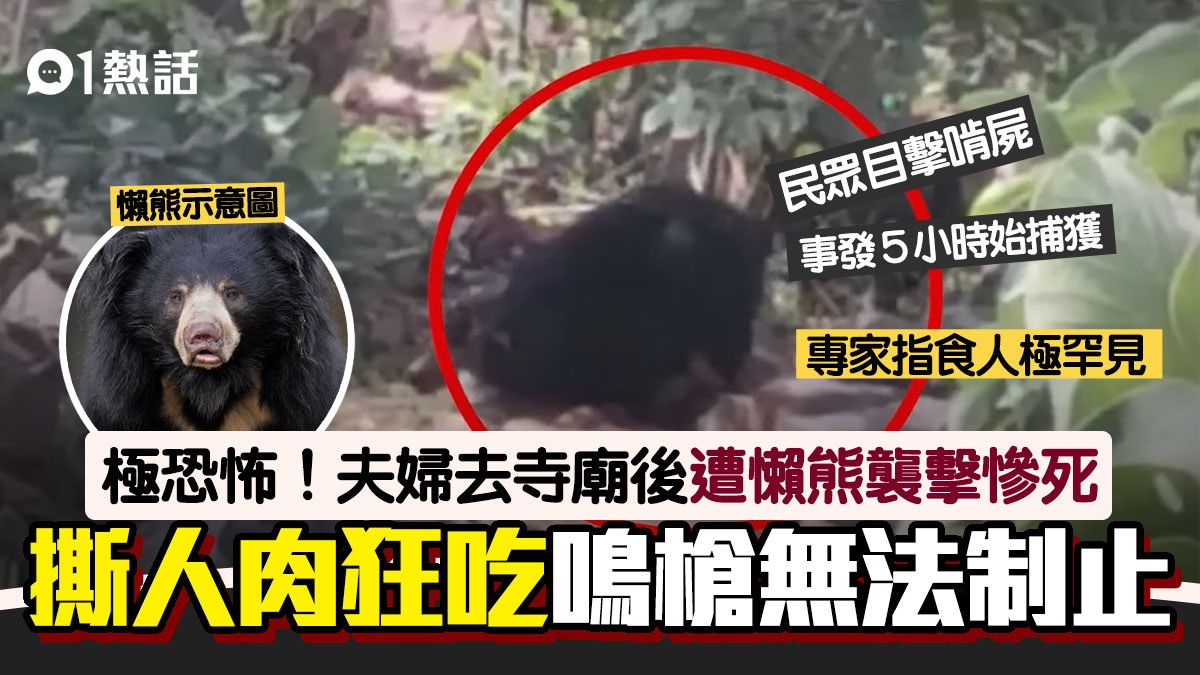 懶熊食人！河邊殺夫婦撕開屍體啃食人肉3小時　專家懷疑患狂犬病
