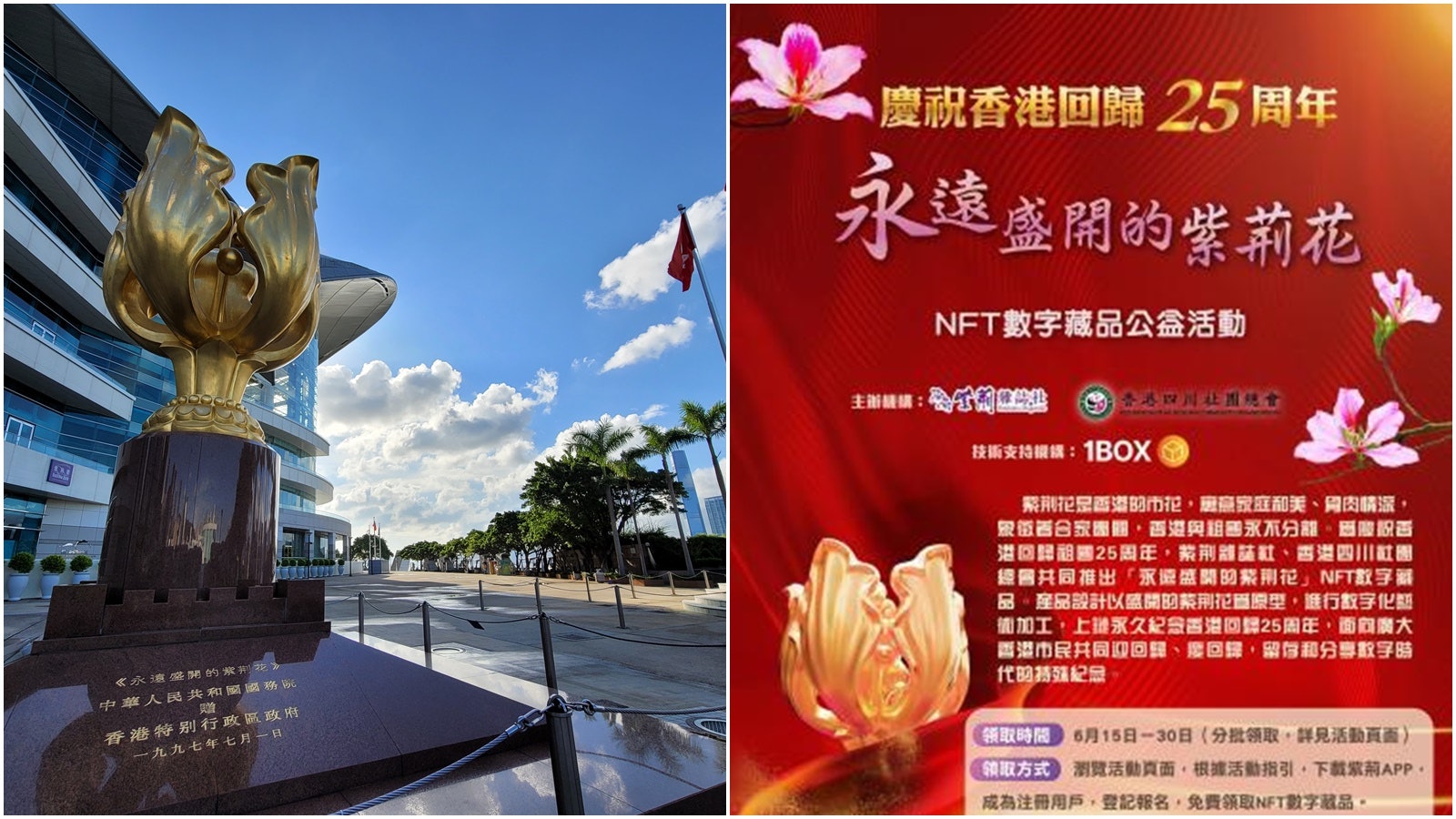 回歸25年 永遠盛開的紫荊花 Nft發行2500份主辦方免費派送 回歸25年 永遠盛開的紫荊花 Nft發行2500份主辦方免費派送