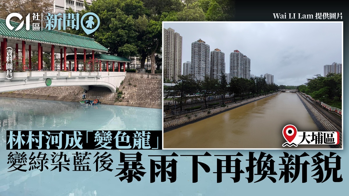 暴雨 大埔林村河變綠染藍後再現黃泥水將軍澳海面積聚沙泥