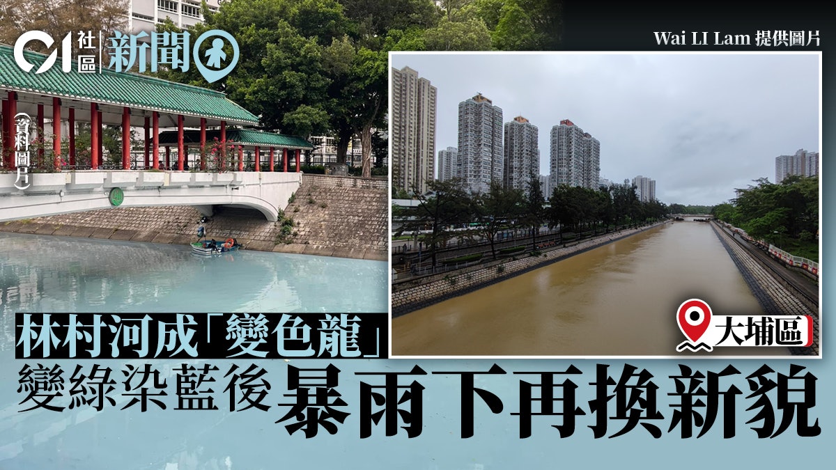 暴雨 大埔林村河變綠染藍後再現黃泥水將軍澳海面積聚沙泥 暴雨 大埔林村河變綠染藍後再現黃泥水將軍澳海面積聚沙泥