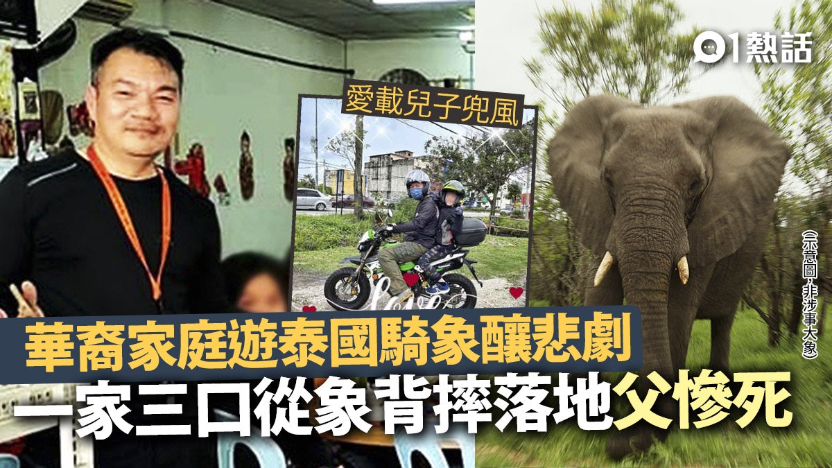 華裔家庭一家三口遊泰騎象 大象突發狂釀1死2傷 父重傷身亡 華裔家庭一家三口遊泰騎象 大象突發狂釀1死2傷 父重傷身亡