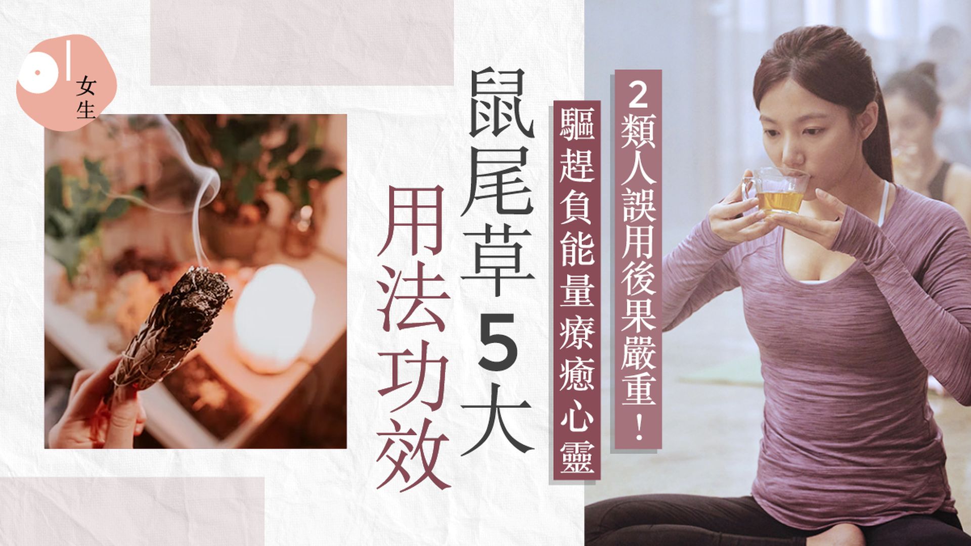 鼠尾草淨化 | 消除負能量!介紹鼠尾草功效、用法及淨化禁忌 鼠尾草淨化 | 消除負能量!介紹鼠尾草功效、用法及淨化禁忌