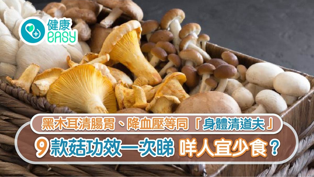 打邊爐|9款菇類助排毒降血壓仲有咩功效?營養師提7類人宜少食 打邊爐|9款菇類助排毒降血壓仲有咩功效?營養師提7類人宜少食