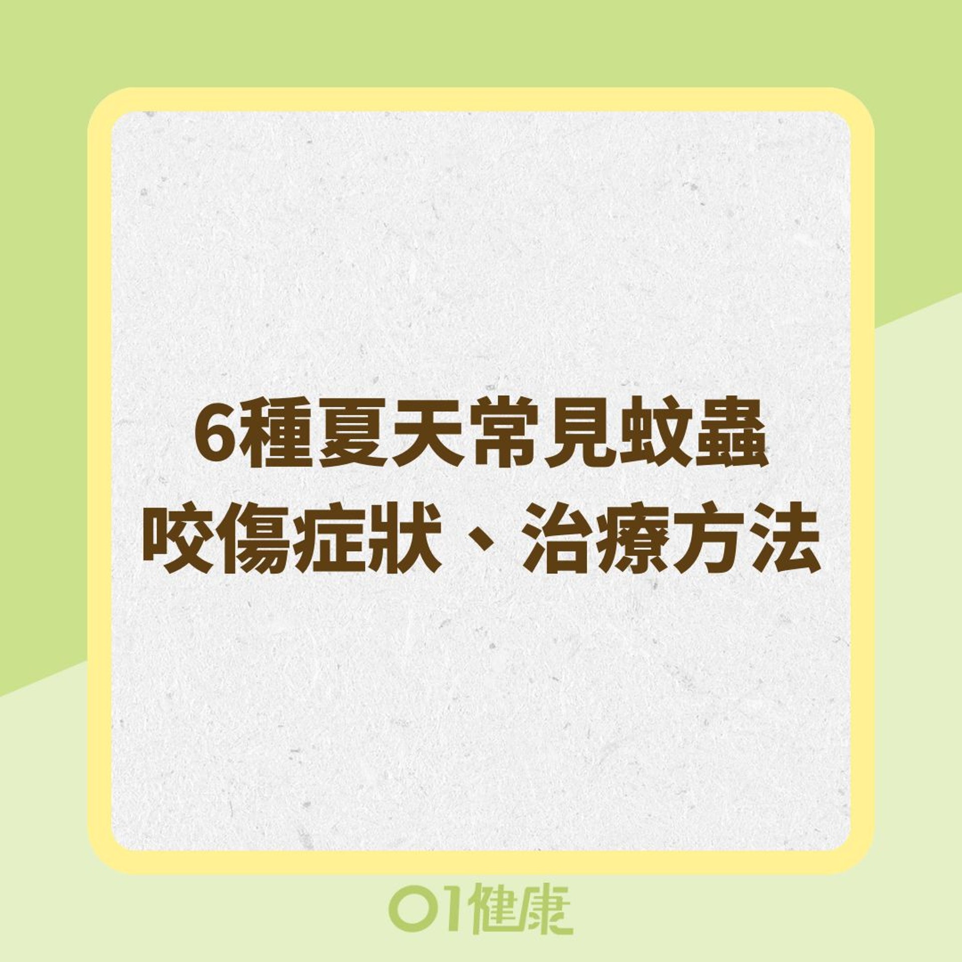 6種夏天常見蚊蟲咬傷症狀、治療方法(01製圖) 6種夏天常見蚊蟲咬傷症狀、治療方法(01製圖)