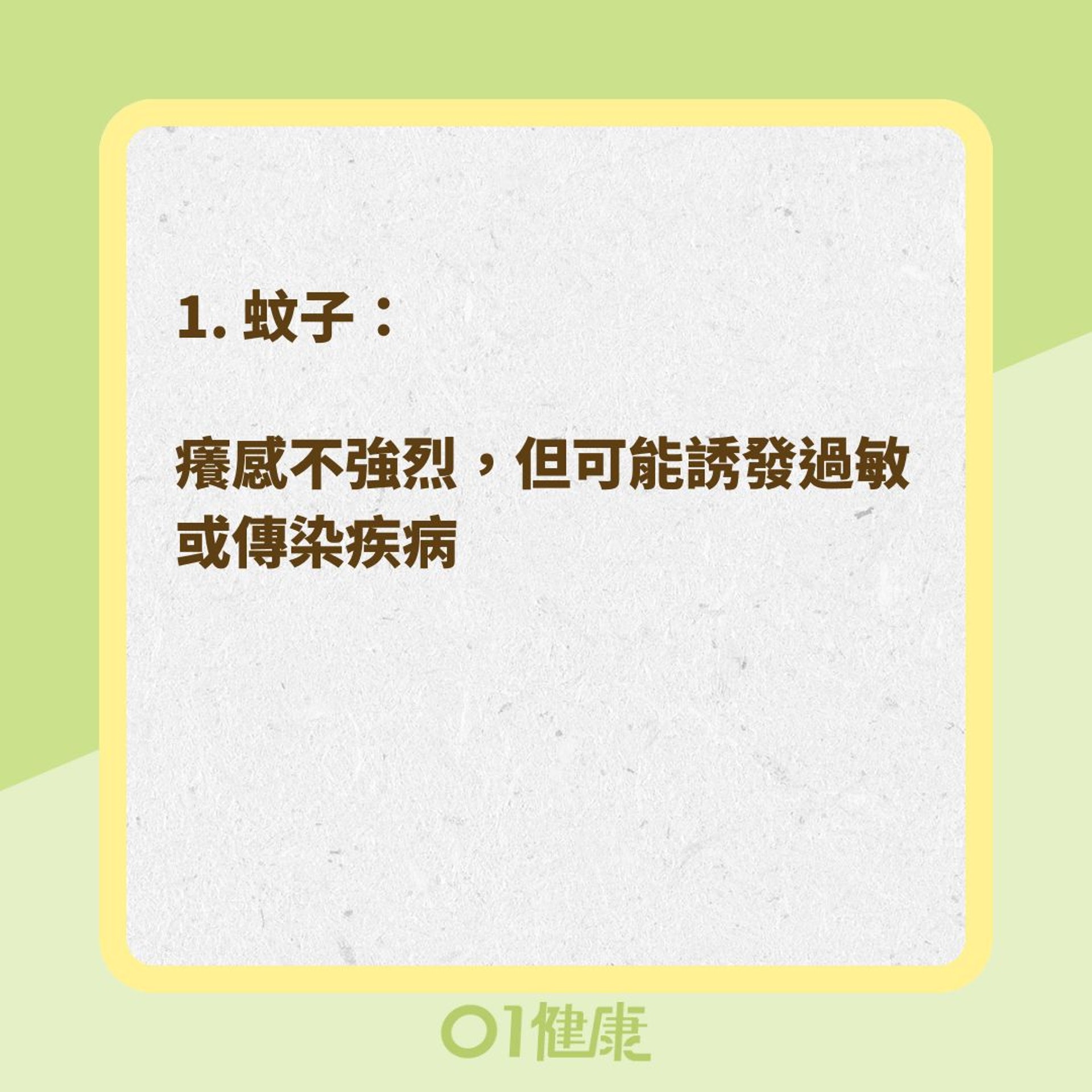 6種夏天常見蚊蟲咬傷症狀、治療方法(01製圖) 6種夏天常見蚊蟲咬傷症狀、治療方法(01製圖)