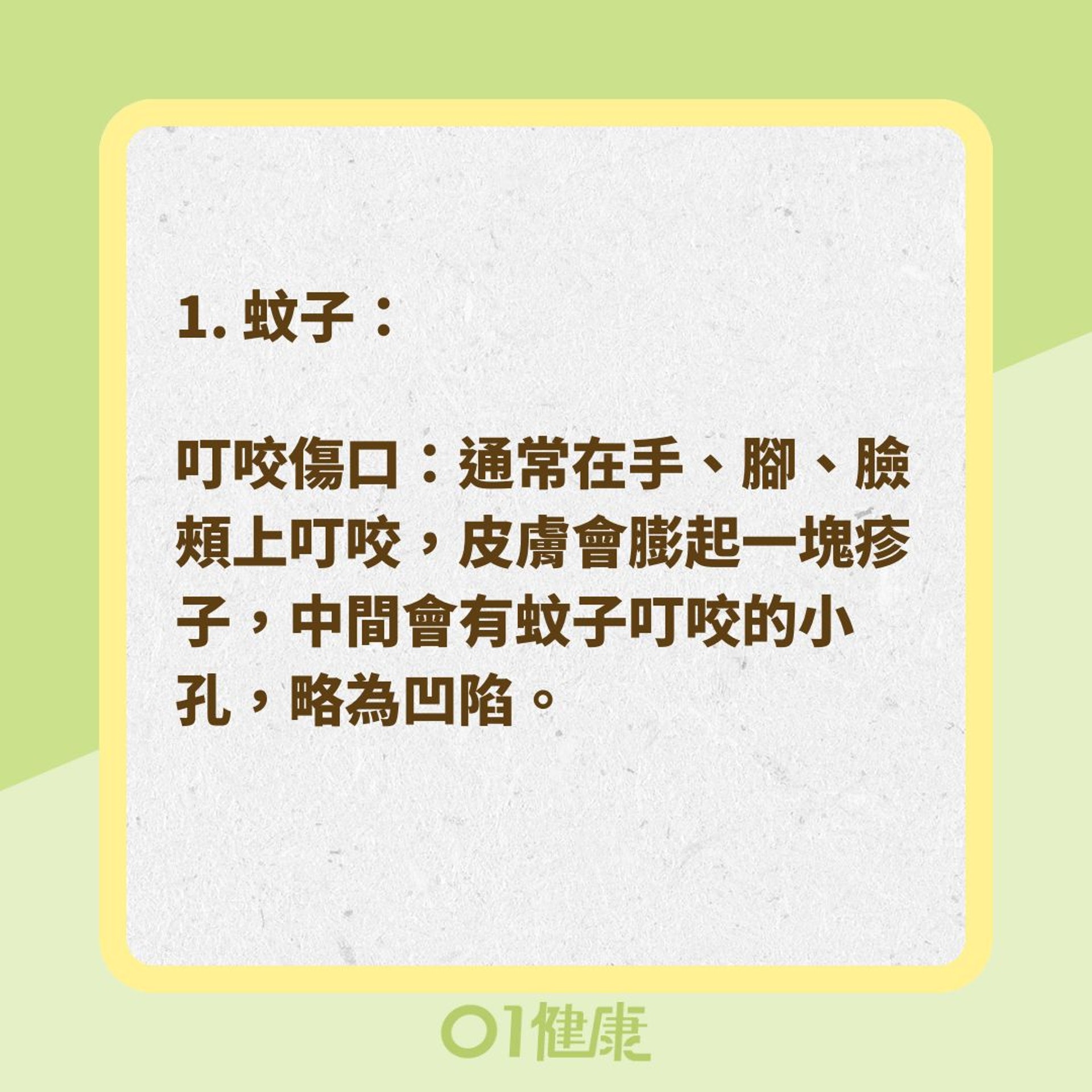 6種夏天常見蚊蟲咬傷症狀、治療方法(01製圖) 6種夏天常見蚊蟲咬傷症狀、治療方法(01製圖)