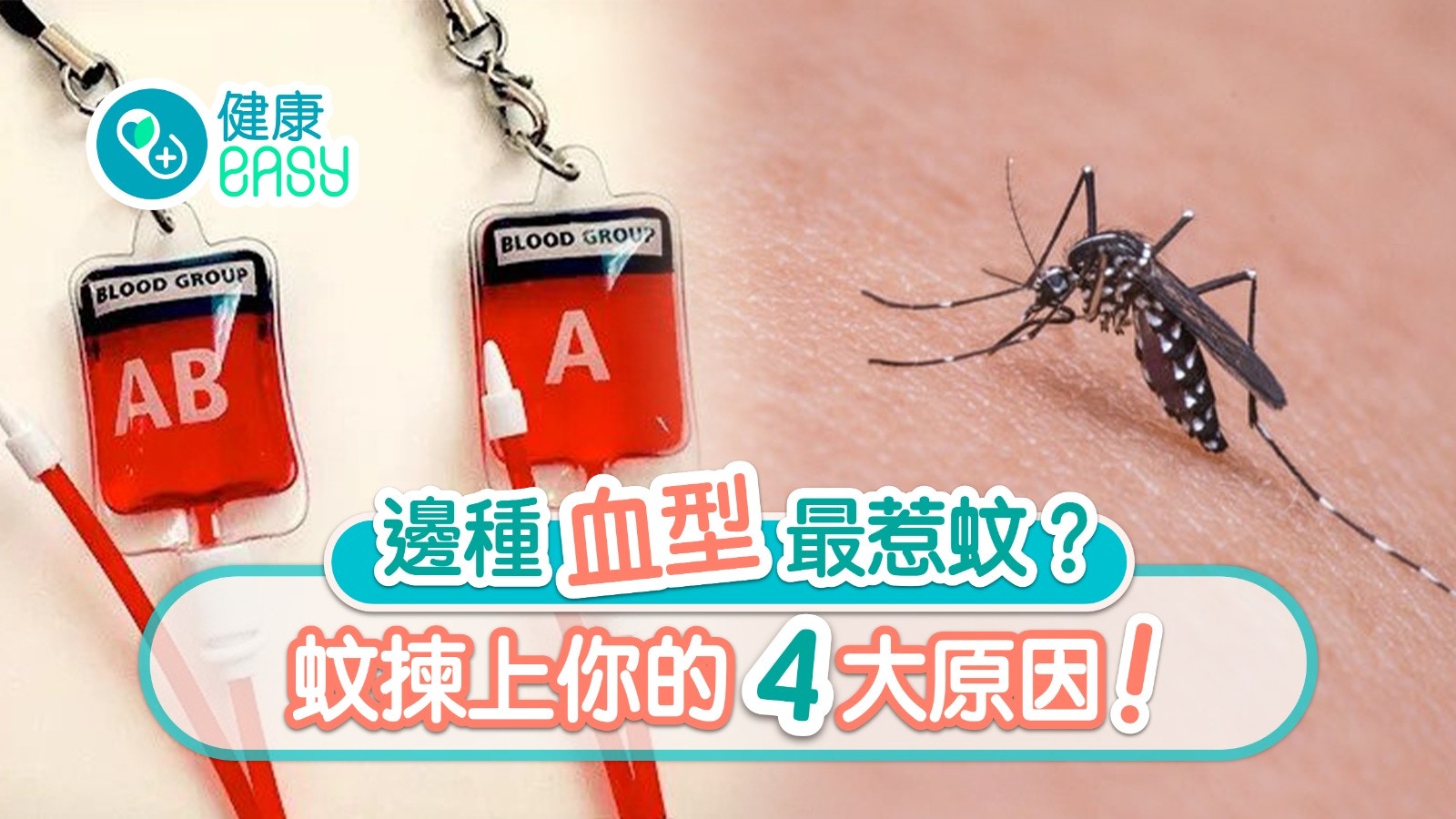 【血型惹蚊】邊種血型最惹蚊？蚊揀上你的4大原因防蚊咪著黑衫