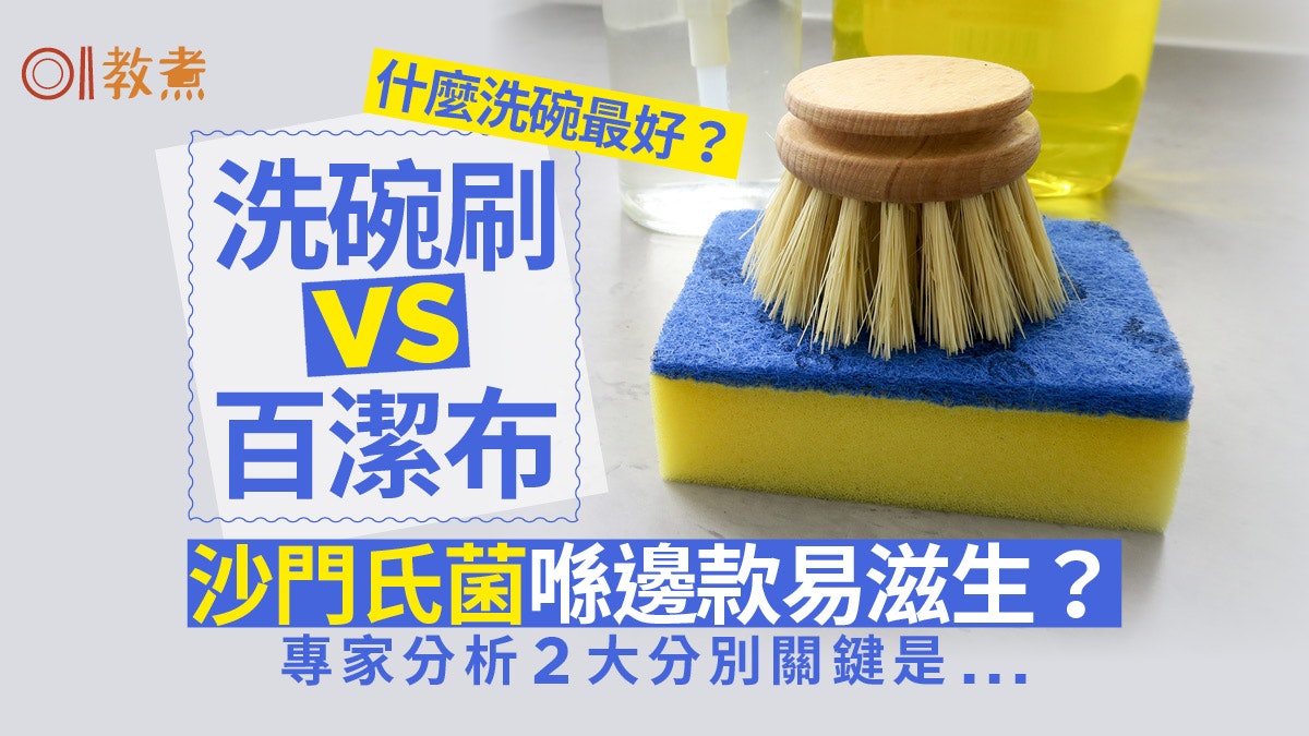 百潔布vs洗碗刷菌量|專家揭藏菌2大關鍵 什麼工具洗碗最衞生? 百潔布vs洗碗刷菌量|專家揭藏菌2大關鍵 什麼工具洗碗最衞生?