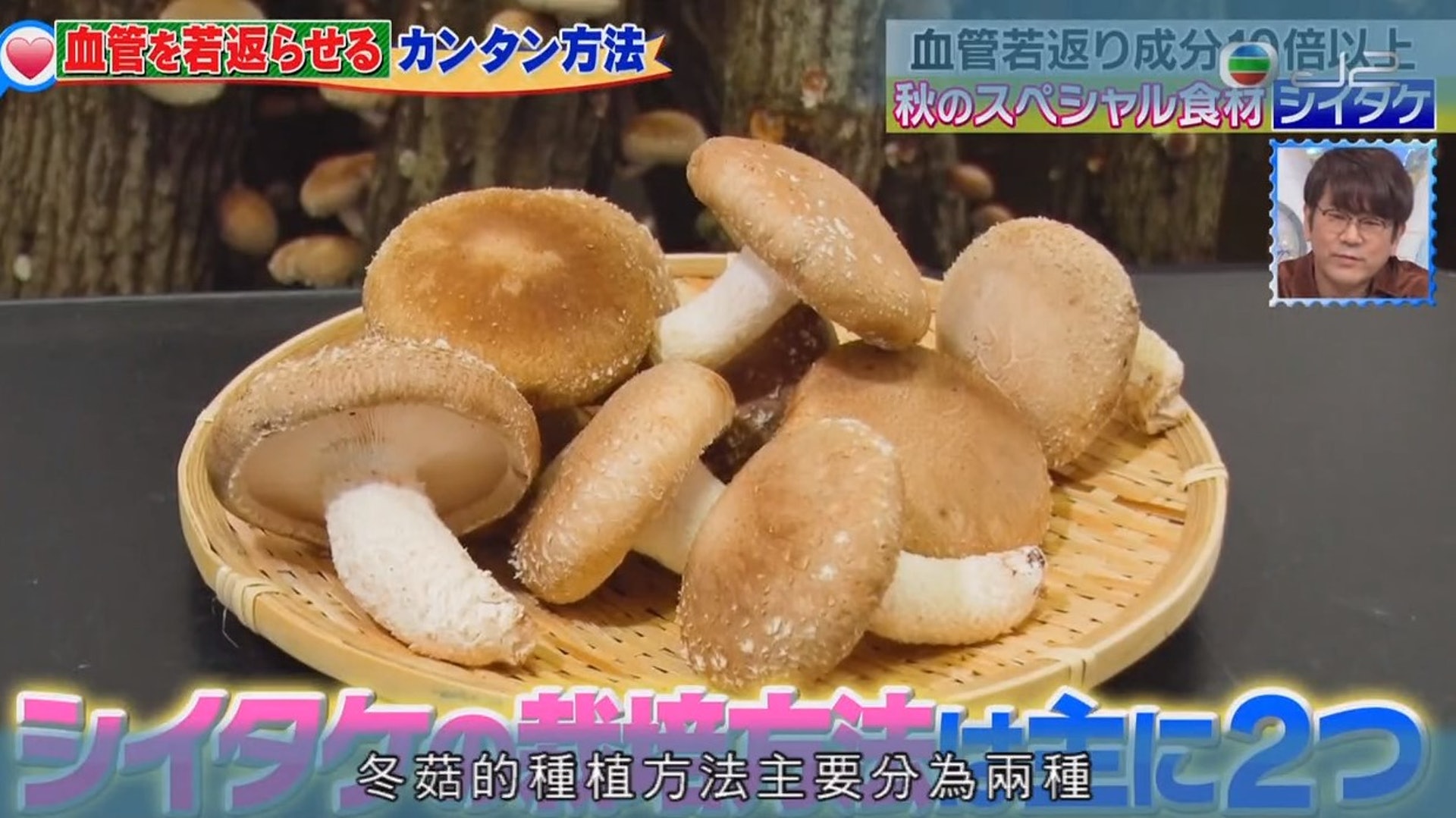 冬菇對幫助血管回復年輕及預防癌症有很高的療效。(《幫緊你醫緊你》截圖) 冬菇對幫助血管回復年輕及預防癌症有很高的療效。(《幫緊你醫緊你》截圖)