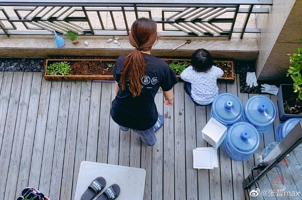 早前上海因受疫情影響,實施封城令,令糧食及物資出現短缺的情況,張晉更在微博曬出多張Ada在屋企露台種菜的照片。(微博@張晉max) 早前上海因受疫情影響,實施封城令,令糧食及物資出現短缺的情況,張晉更在微博曬出多張Ada在屋企露台種菜的照片。(微博@張晉max)