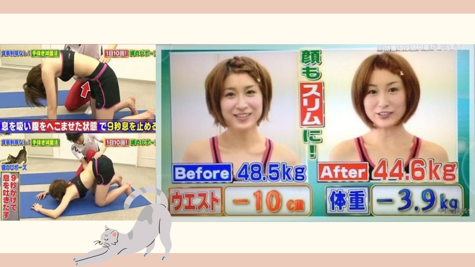 女星實測貓式伸展月輕4kg、腰圍-10cm 每晚學貓伸懶腰減走大肚腩 女星實測貓式伸展月輕4kg、腰圍-10cm 每晚學貓伸懶腰減走大肚腩