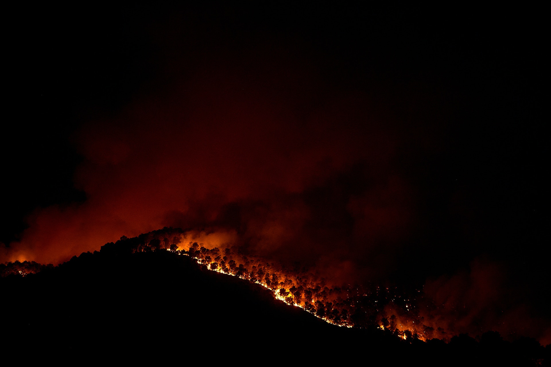西班牙高温天气3天内造成84人死亡  世界新闻