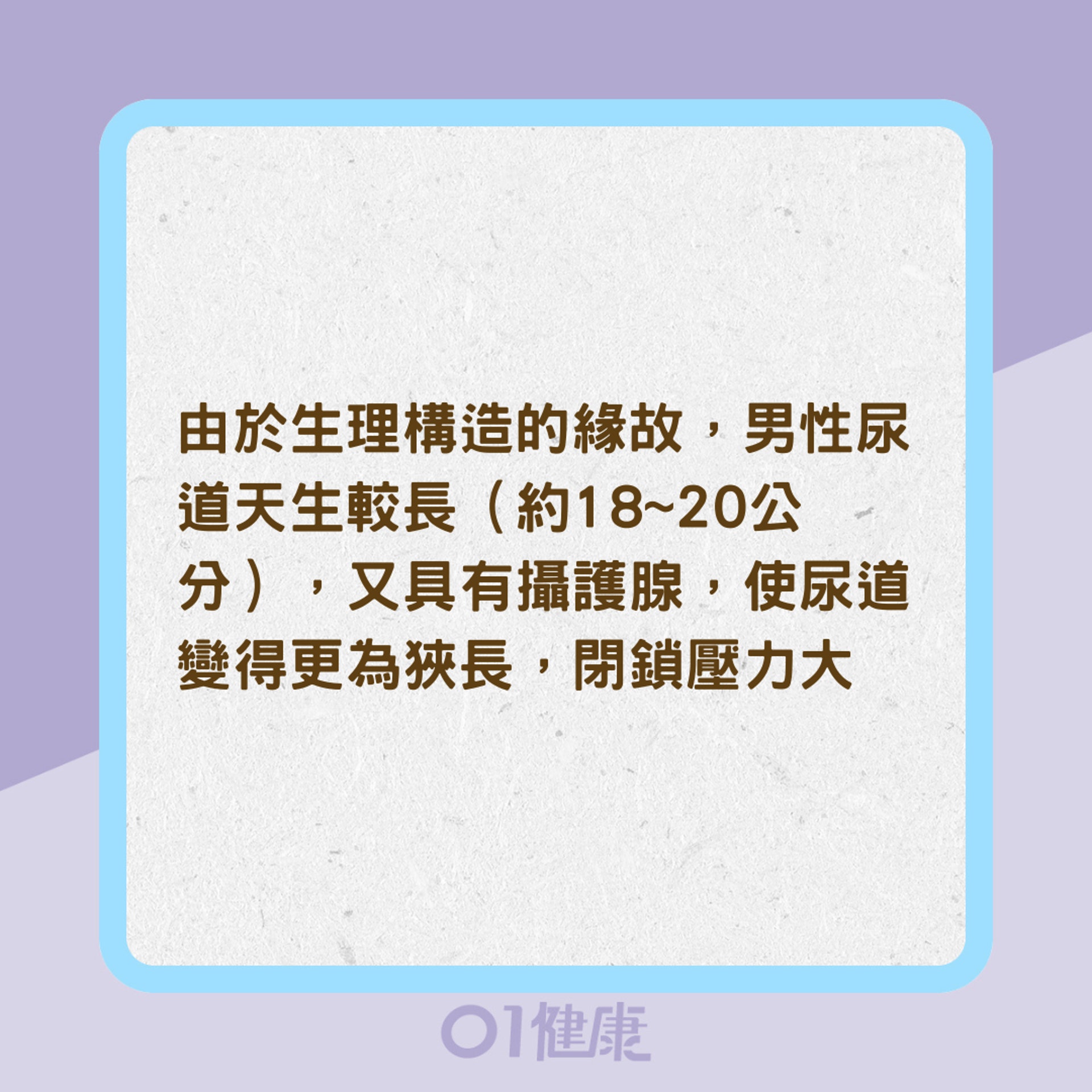 男人天生易滴女人天生易漏?(01製圖) 男人天生易滴女人天生易漏?(01製圖)