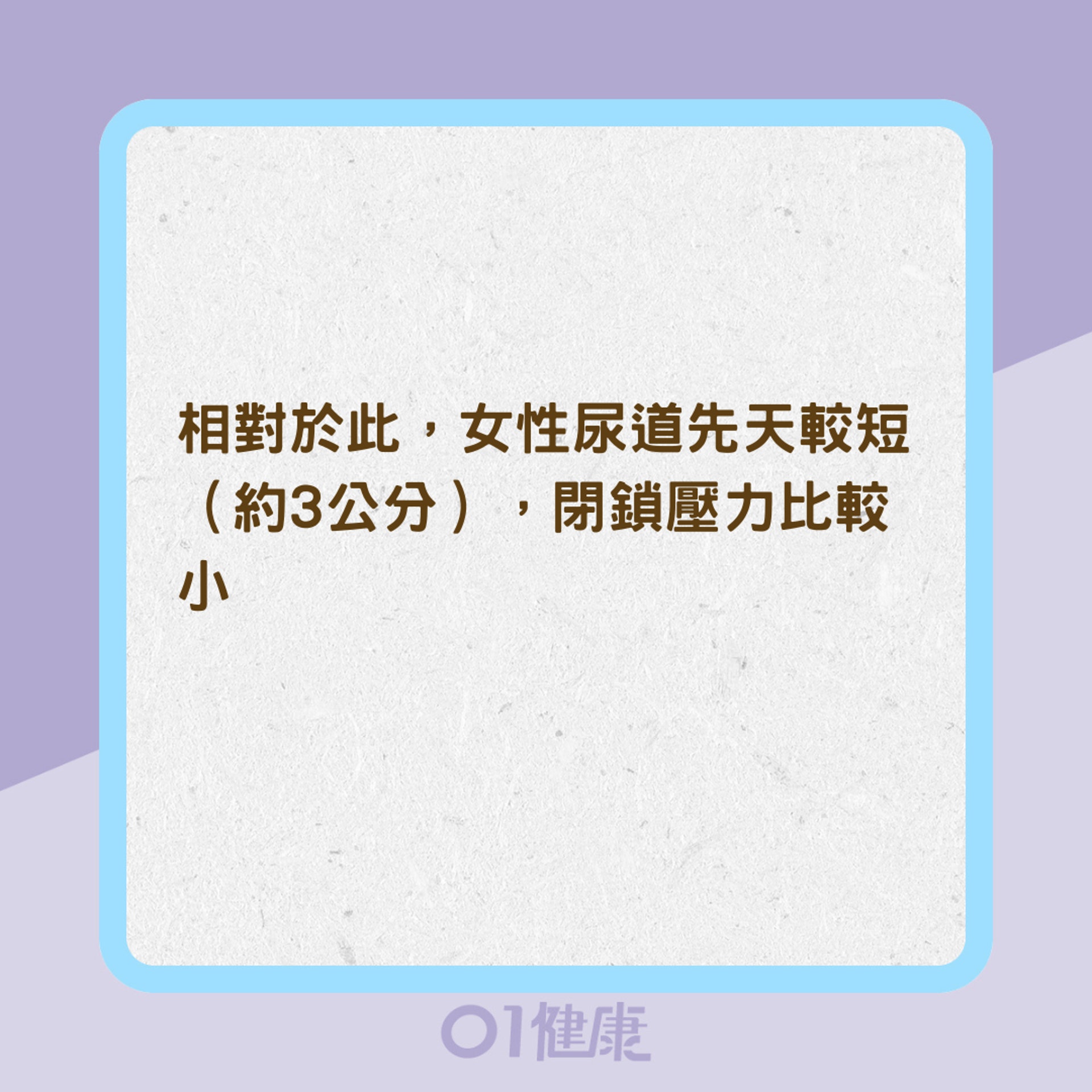 男人天生易滴女人天生易漏?(01製圖) 男人天生易滴女人天生易漏?(01製圖)